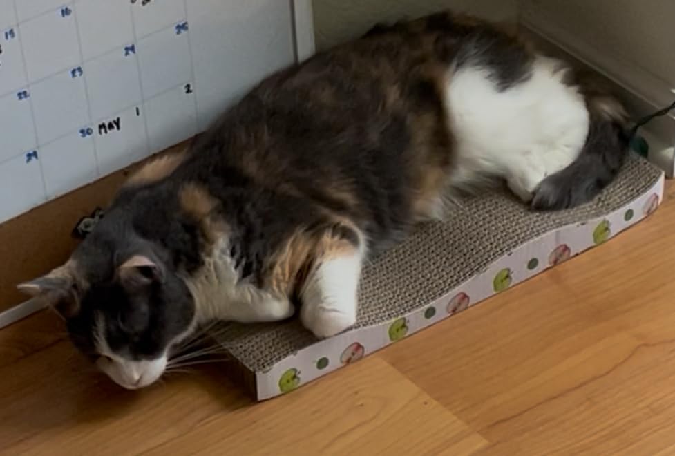 TIMHAKA Cat Scratching Board, Corrugate Cat Scratcher for Indoor Cats with Catnip, Cat Scratch Pad with Premium Scratch Textures Design, Cardboard Cat Scratcher with Double-Sided Usability (Pack of 2) customer photo 1