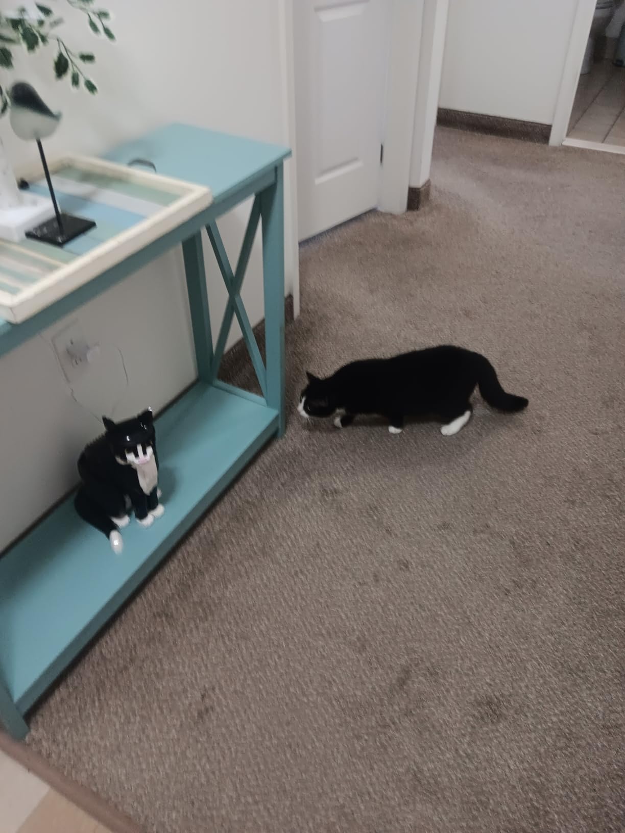 LEGO Ideas Tuxedo Cat - Building Sets for Adults, Ages 18+ - DIY Crafts Kit for Home Decor, Living Room or Bedroom - Gift for Animal Lovers - 21349 customer photo 2