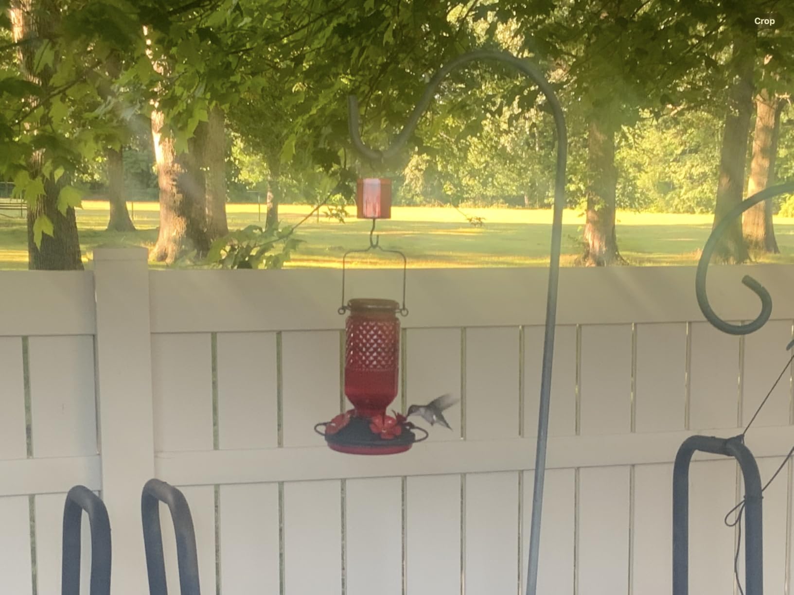FEED GARDEN Glass Hummingbird Feeder for Outdoors Hanging, 16 oz Leak-Proof Nectar Feeder with Bee Guards & Ant Moat, 4 Metal Flower Feeding Ports, 360° Perch Ring, Easy Refill & Clean, Red customer photo 2