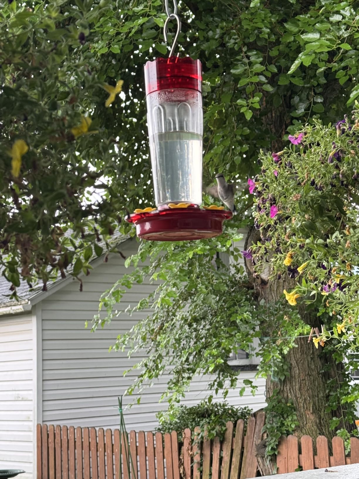 2 Pack Glass Hummingbird feeders for Outdoors 14Ounces，5 Feeding Ports Hummingbird Feeder,Wide Mouth for Easy Filling/Cleaning，Hanging for Garden Backyard Decor, Includes Ant Moat (Red，2Pack) customer photo 2