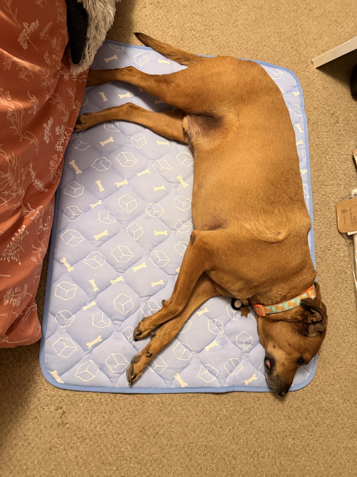 Rywell Dog Cooling Mat 2.0, Ocean Blue, 44