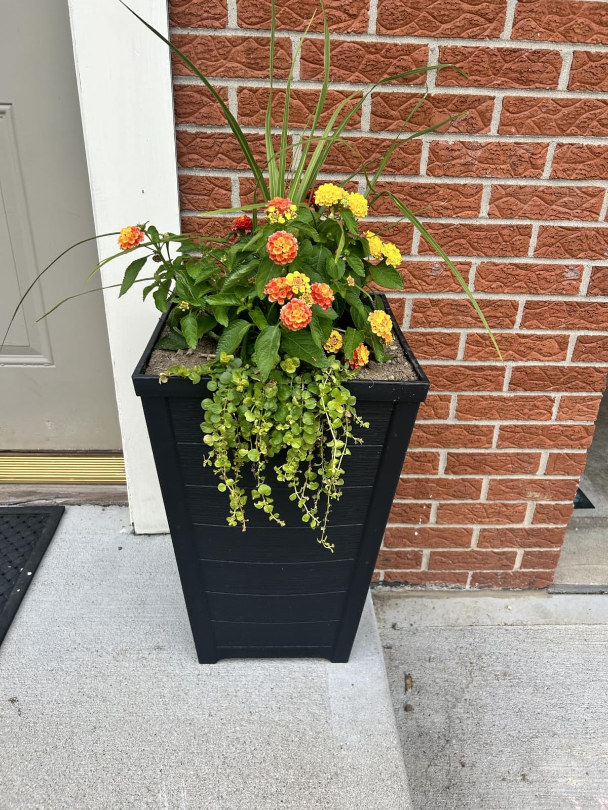 Keter Set of 2 Resin Modern Outdoor 22 Inch Tall Large Flower Pots, Tapered Wood Look Planters for Outdoor Plants and Front Porch Decor, Graphite customer photo 2