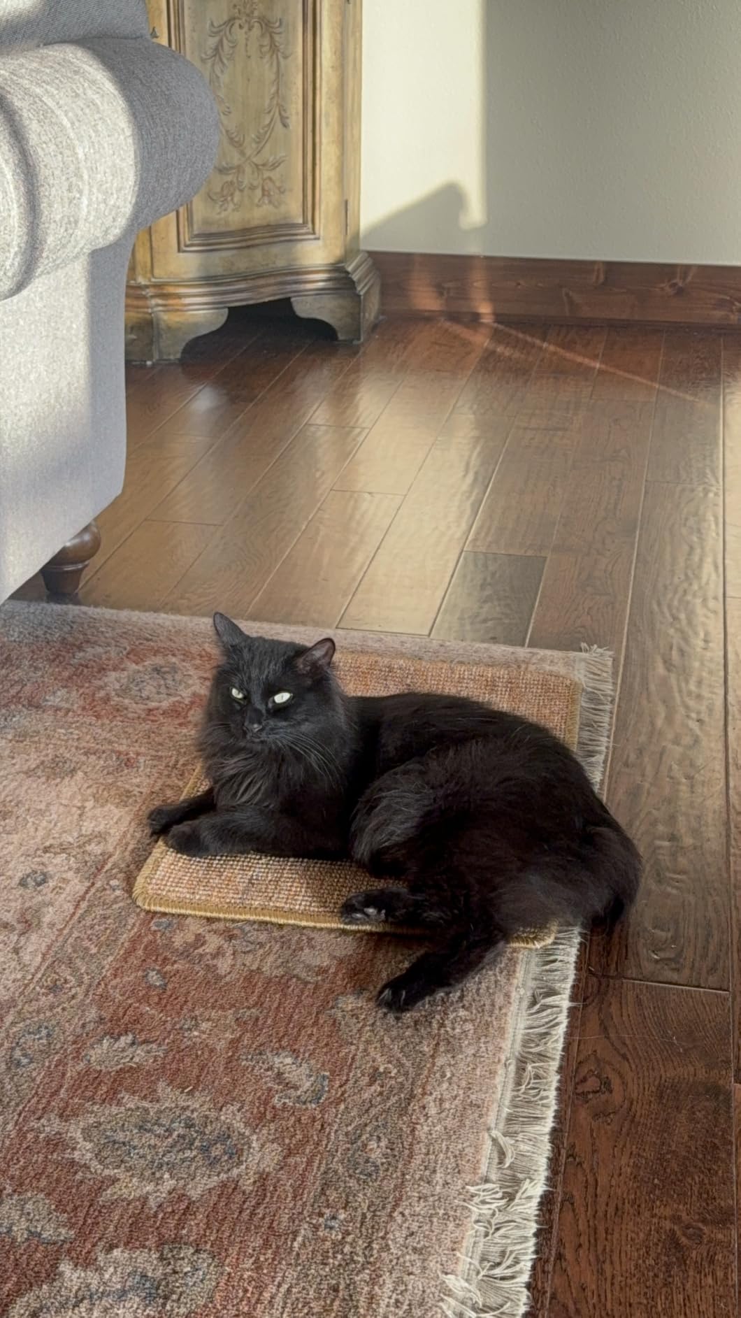 FUKUMARU Cat Scratcher Mat, 23.6 X 15.7 Inch Natural Sisal Cat Scratch Mat customer photo 1