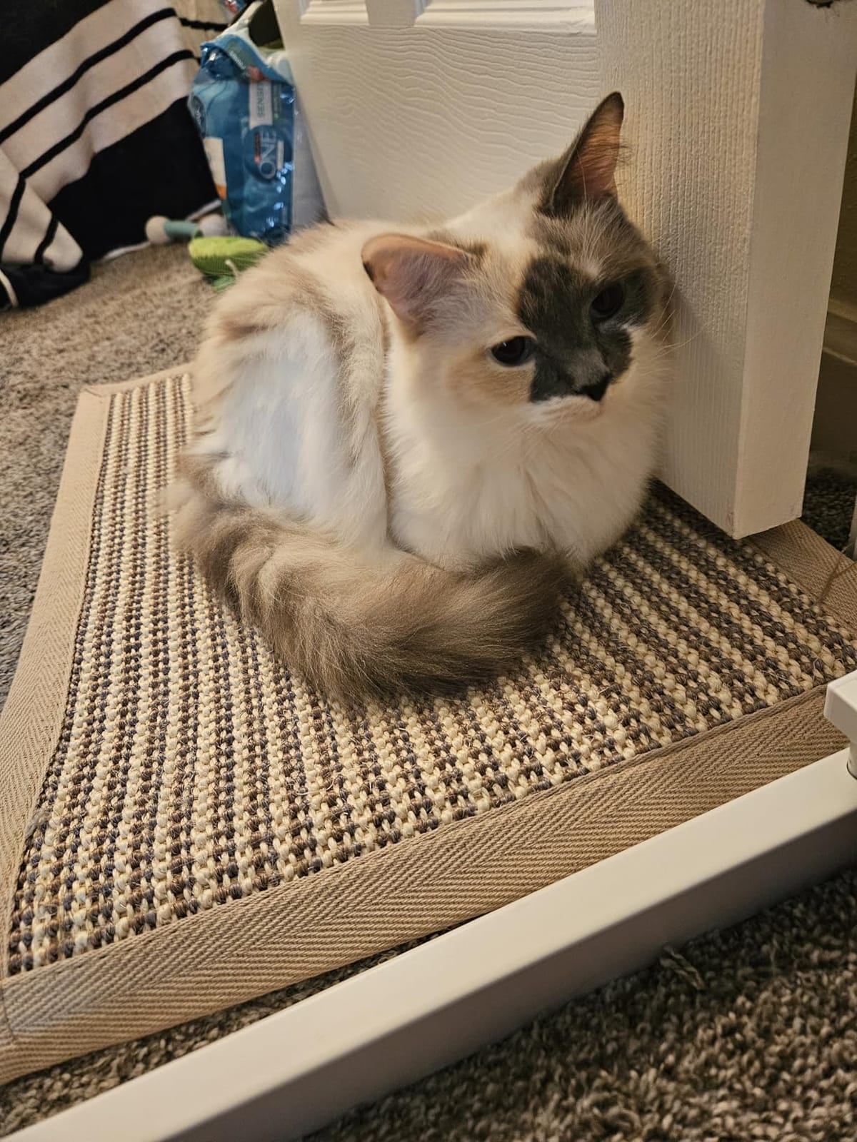 FUKUMARU Cat Scratcher Mat, 23.6 X 15.7 Inch Natural Sisal Cat Scratch Mat customer photo 2