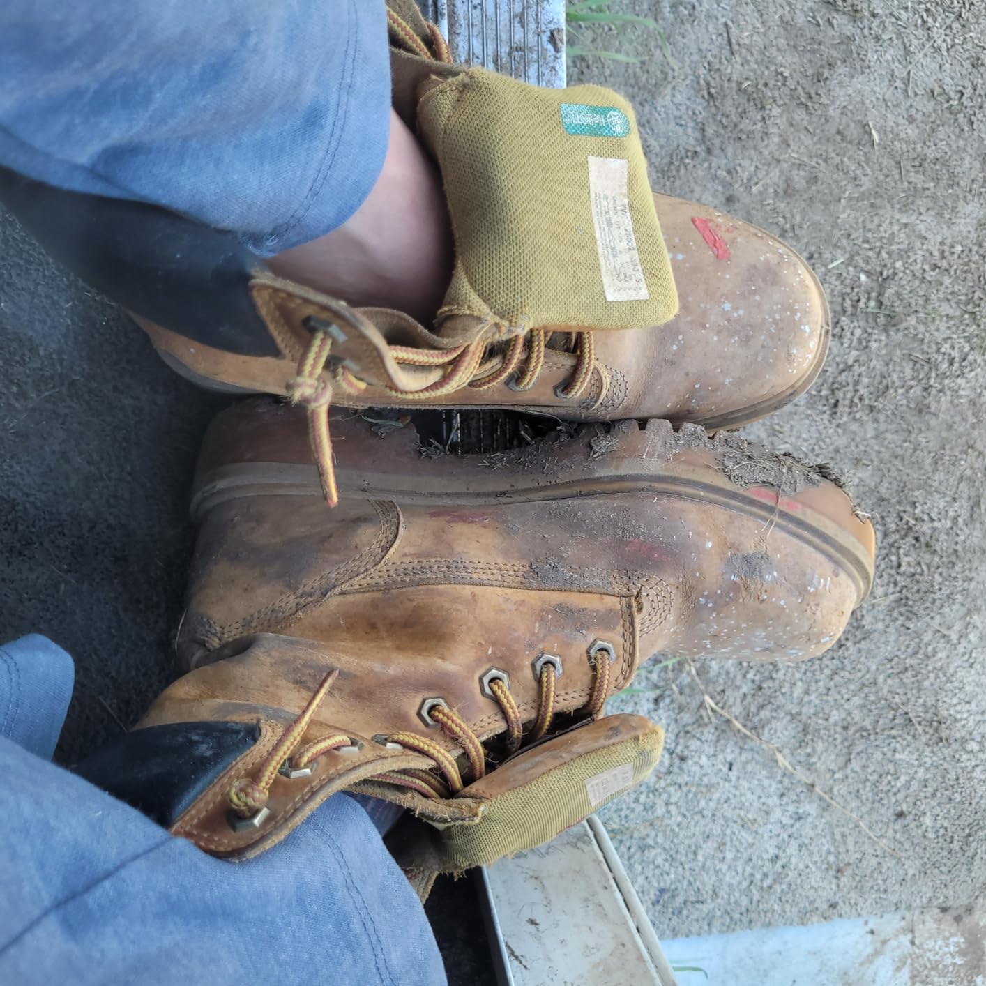 Timberland PRO mens Direct Attach 8 Inch Steel Safety Toe Insulated Waterproof Industrial Work Boot customer photo 1