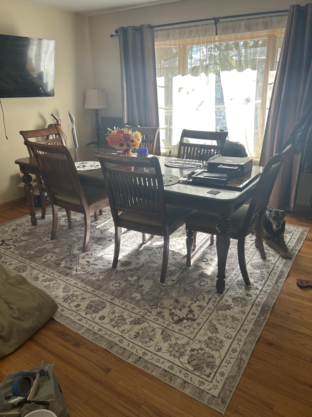 Washable 6x9 Rug Living Room: Non-Slip for Dog Cat Household Forest Green customer photo 1