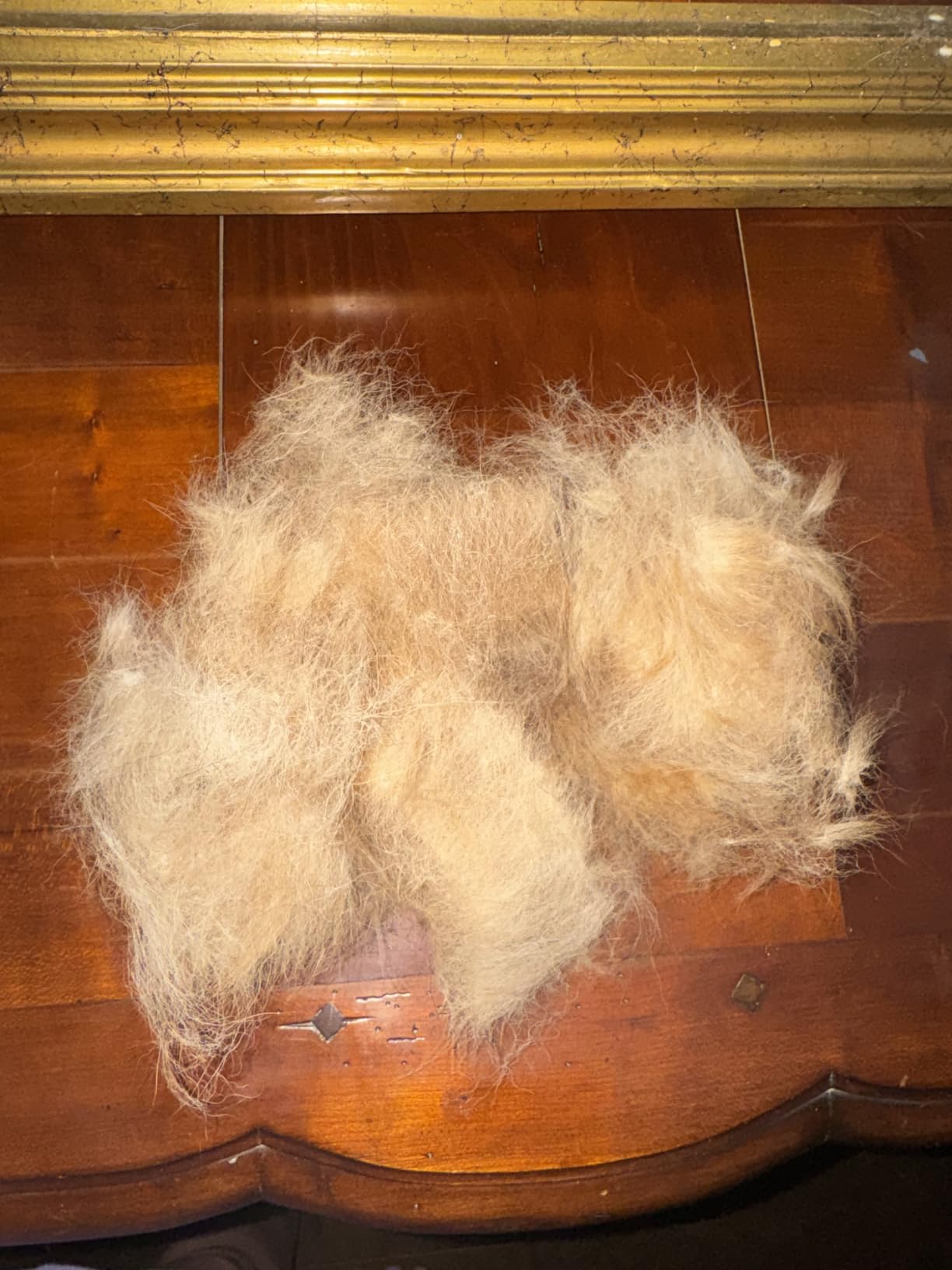 Dipoo Self Cleaning Shedding Brush - Skin Friendly Grooming Tool for Dogs, Cats, and Puppies, Deshedding and Hair Removal for Long and Short Haired Pets, Black customer photo 1