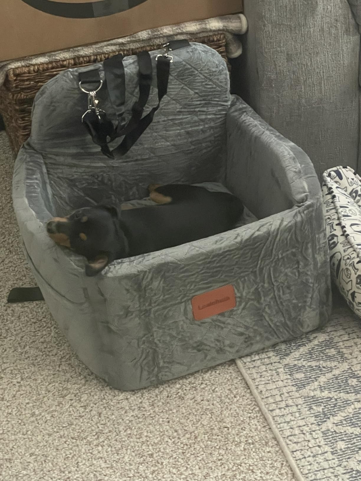 Lealchum Dog Booster Car Seat for Small/Medium Dogs Up to 35lbs,Elevated Cushion Fits in Front/Back Seat,Fully Detachable and Washable,2 Storage Pockets & Dog Leashes,Easy to Install(Black,Medium) customer photo 1