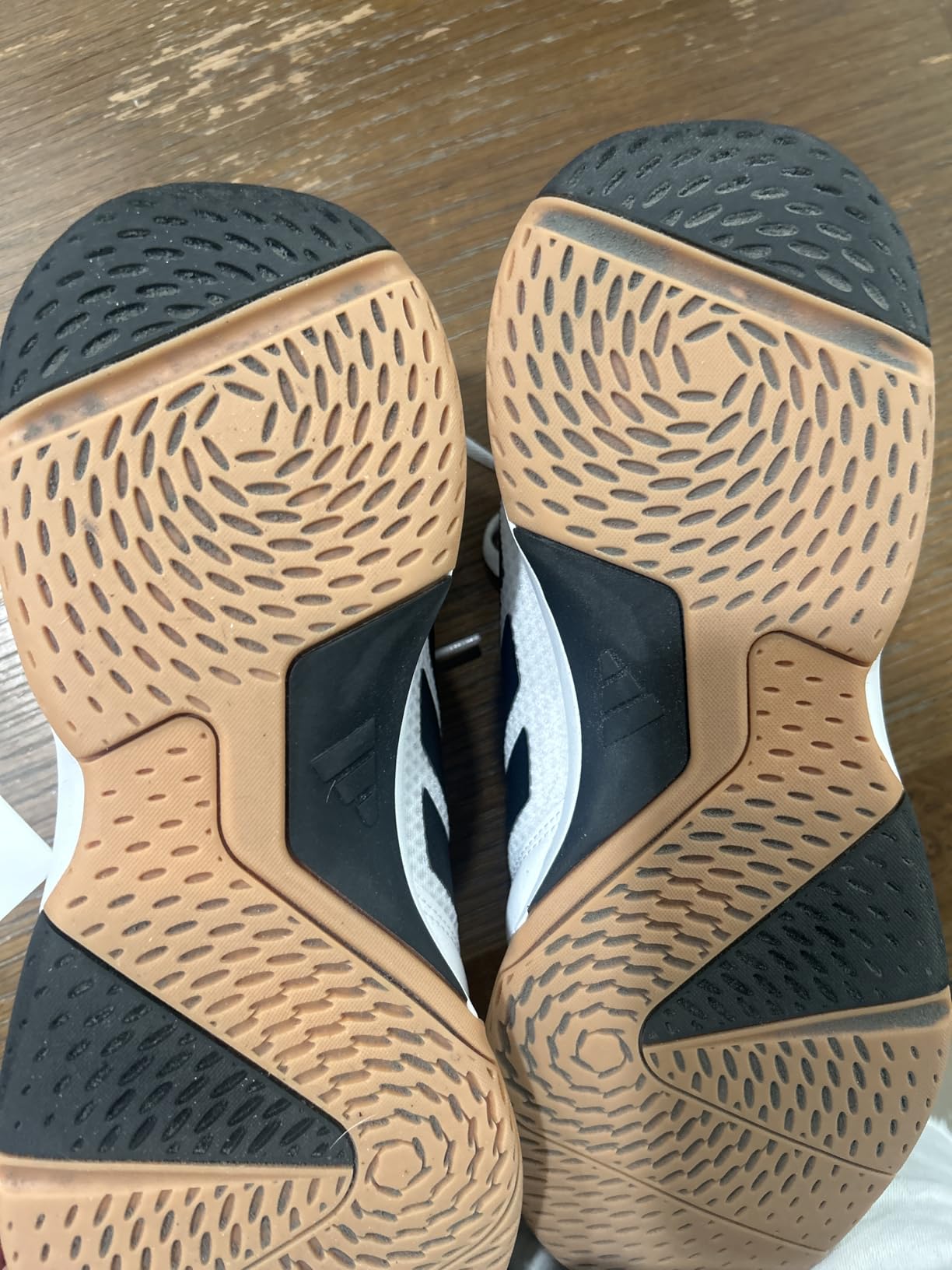 adidas Men's Ligra 8 Indoor Volleyball Shoes customer photo 2
