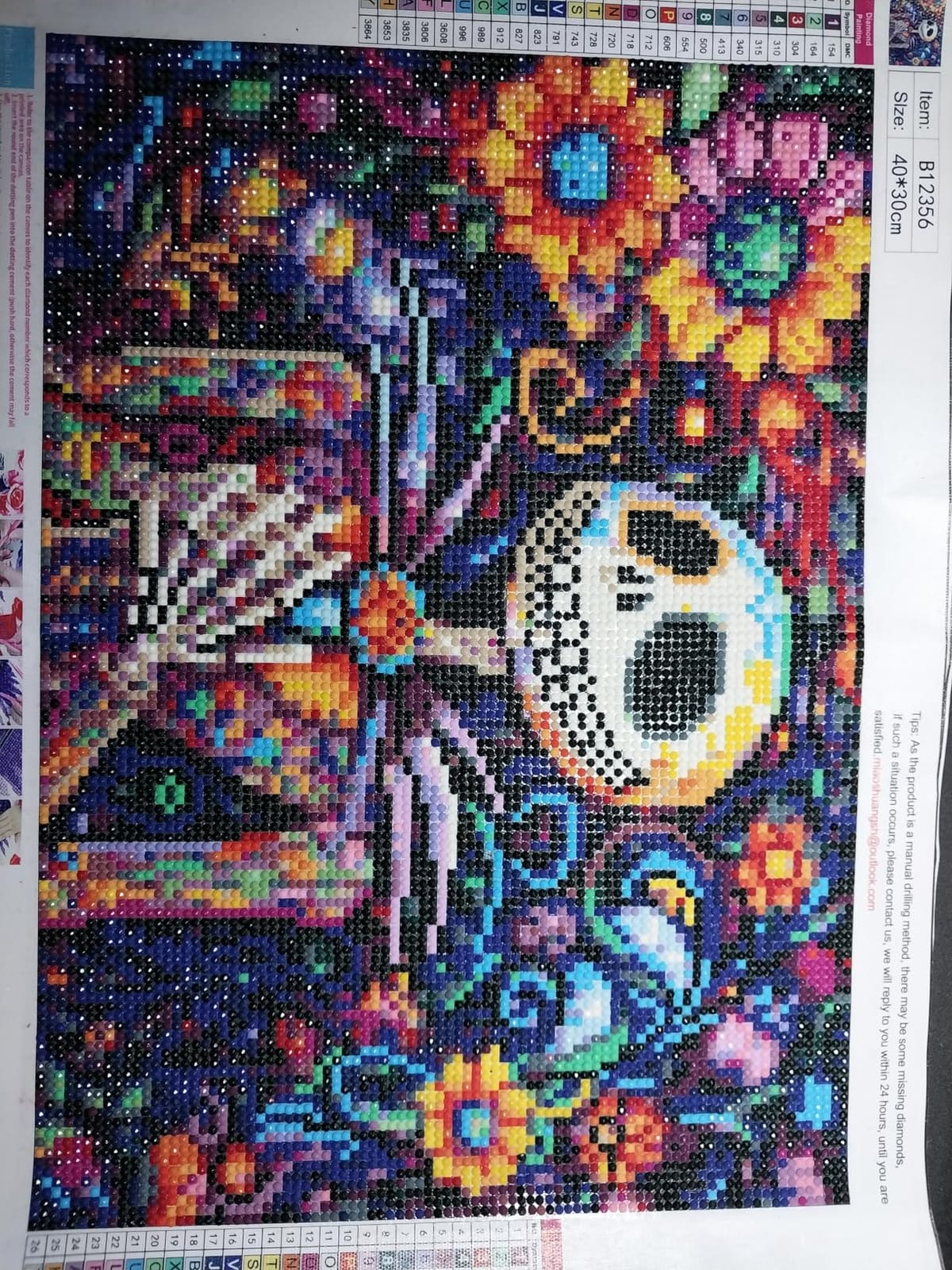 Diamond Art Kits for Adults Skull Last Flying Diamond Painting Kit 12x16in customer photo 1