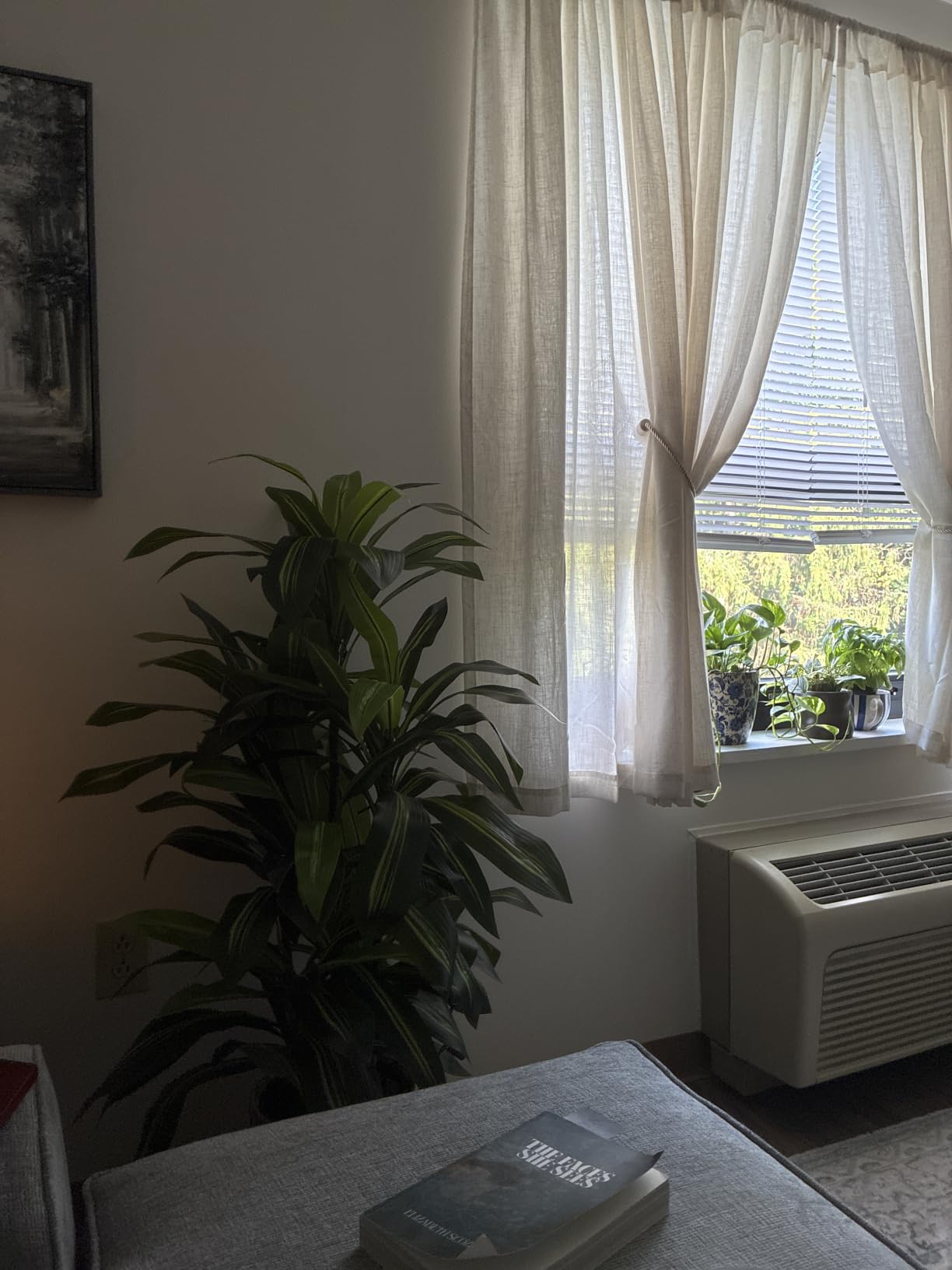 ASTIDY Artificial Plant 5FT Dracaena Fake Tree with Black Tall Planter customer photo 2
