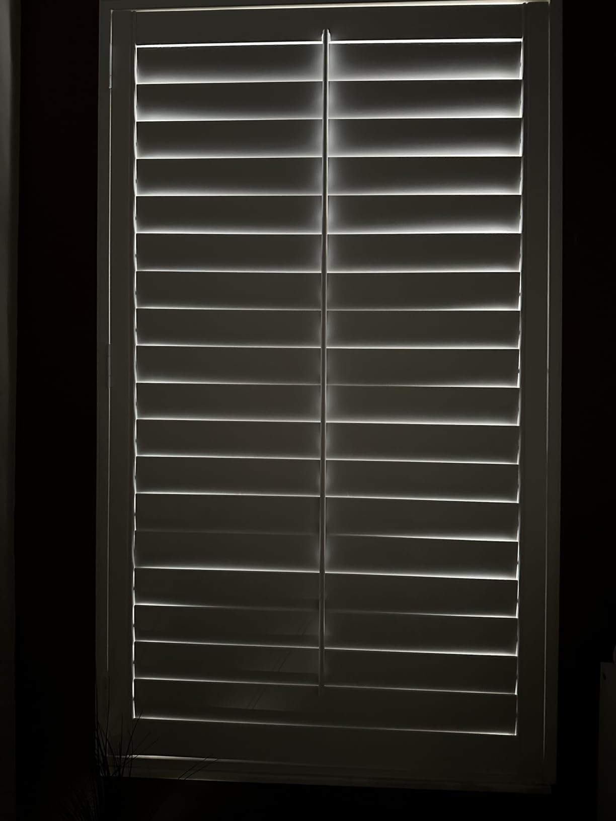 Allesin Motorized Blinds with Remote | Automatic Blackout Roller Shades, Easy Install & Smart Control Electric Blinds for Home Office, Living Room (Gray 31