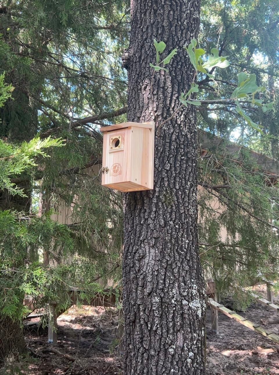 SISTERBIRD 2 Pack Bluebird Houses for Outside, Warming Gifts Bluebird House customer photo 2