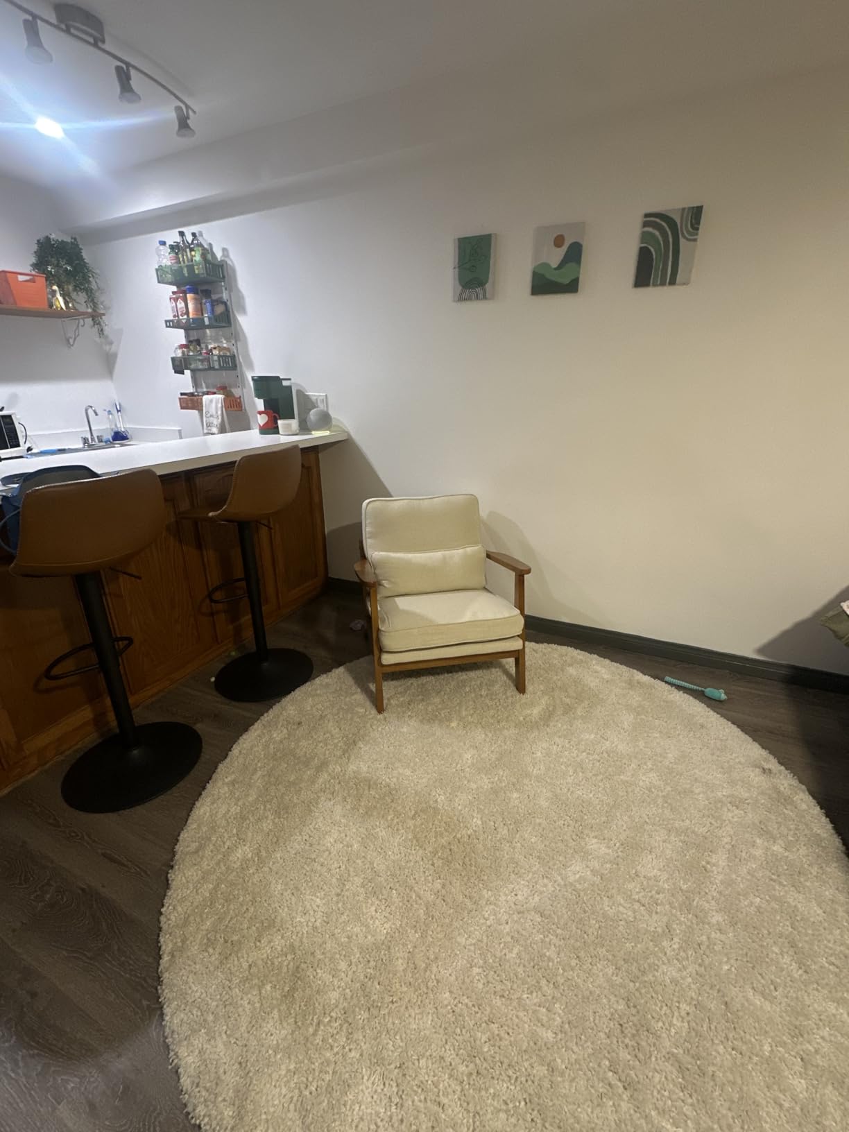 Karl home Mid-Century Lounge Accent Chair, Green customer photo 1