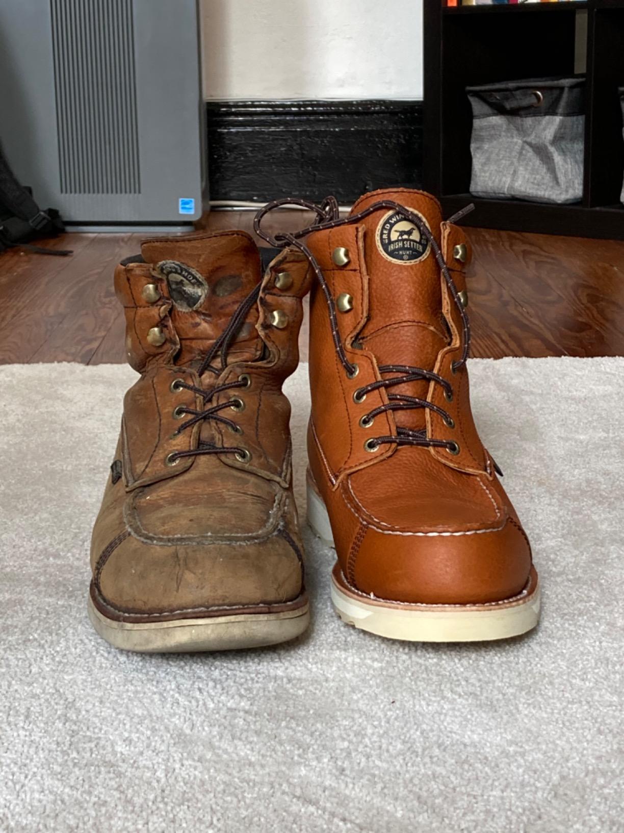 Irish Setter Wingshooter 7