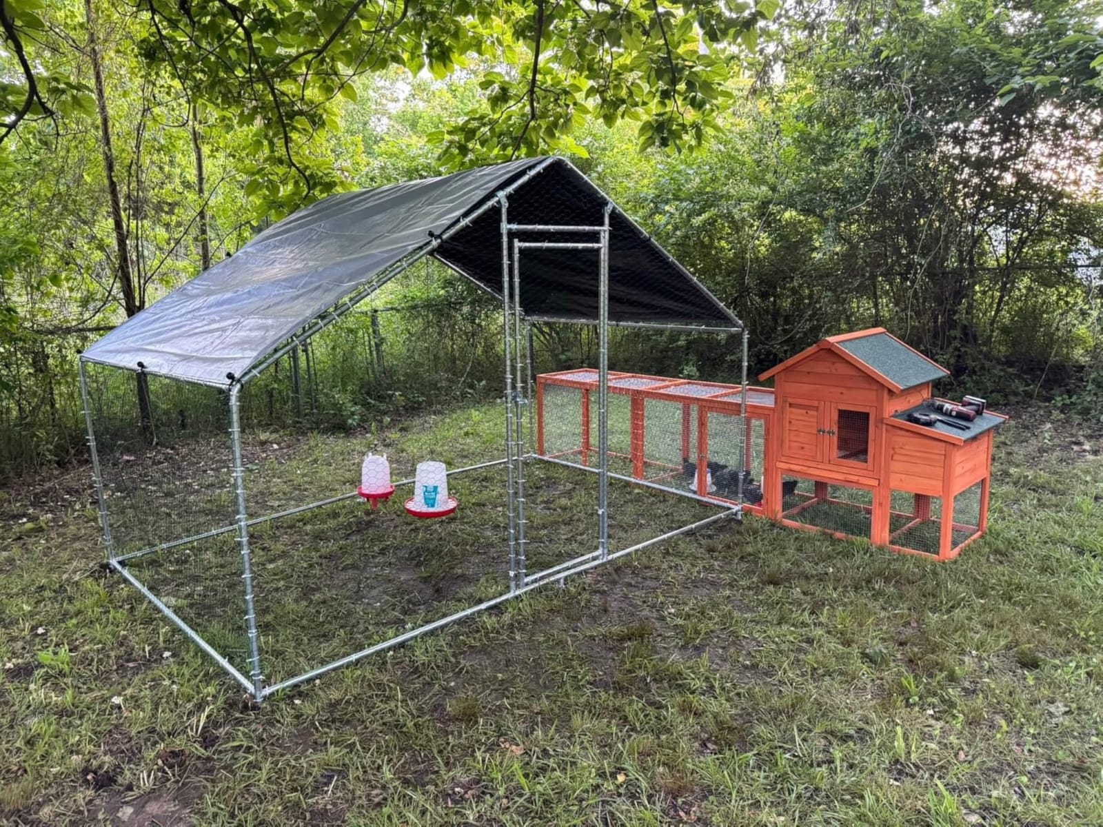 Large Metal Chicken Coop, Chicken Runs for Yard with Cover Walk-in Poultry Cage for 10 20 Chickens, Chicken Pen Duck Coop with Water-Resident Top and Feeding Door, Spire Hen House 12.8Lx9.84Wx6.6H FT customer photo 1