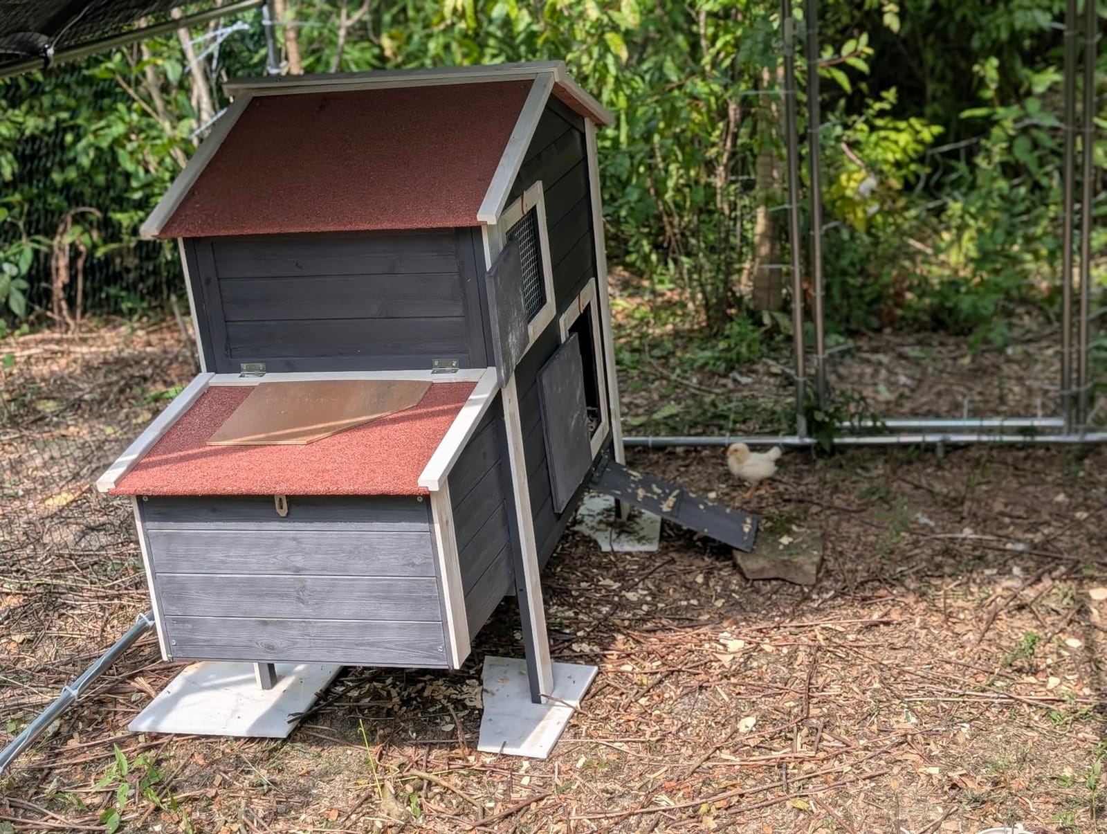 Large Metal Chicken Coop, Chicken Runs for Yard with Cover Walk-in Poultry Cage for 10 20 Chickens, Chicken Pen Duck Coop with Water-Resident Top and Feeding Door, Spire Hen House 12.8Lx9.84Wx6.6H FT customer photo 2