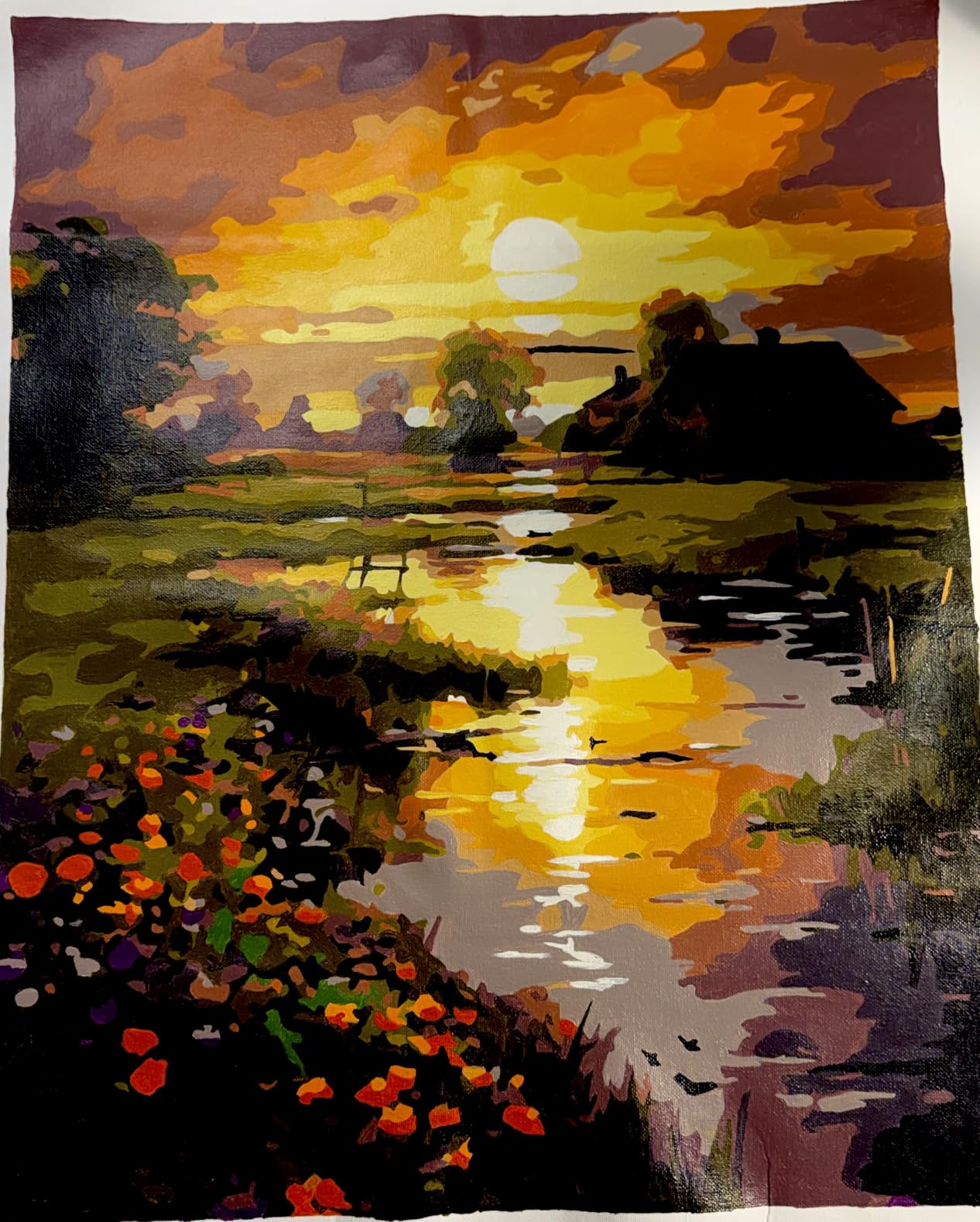Paint by Numbers Kit for Adults Beginner 16x20 Inch, Countryside Sunset customer photo 2