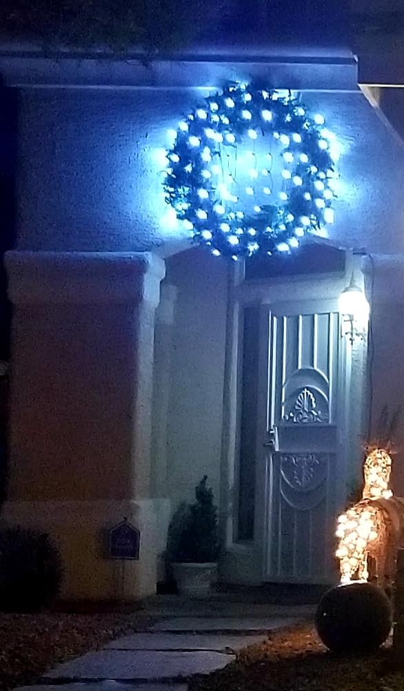 Dirnun Led Christmas Net Lights Outdoor Christmas Lights Multicolor 160LED 5ftx7ft, Waterproof Outdoor Indoor Fairy Mesh Net Light for Xmas Party, Yard, Patio, Trees, Shrubs, Bushes Decorations customer photo 1