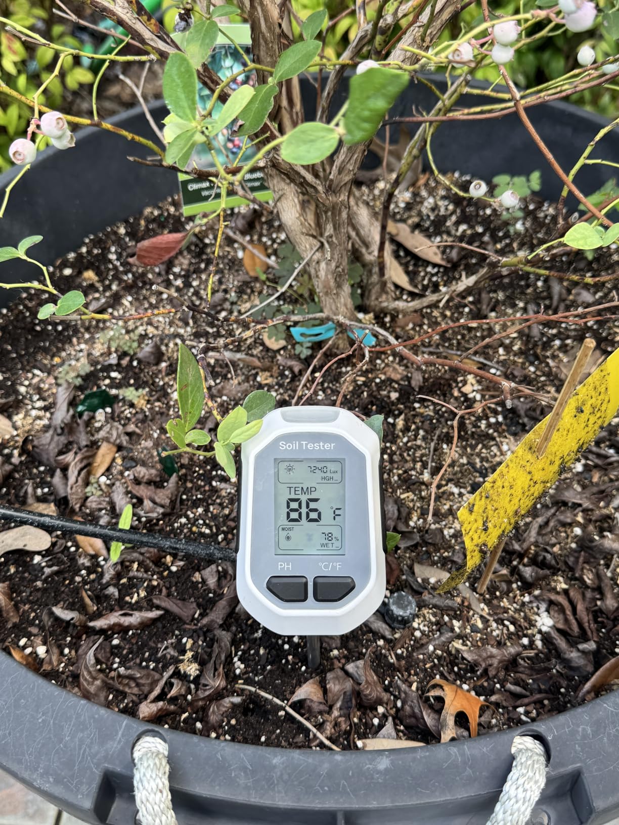 YAMRON 4-in-1 Soil Moisture Meter Digital Plant Temperature/Soil Moisture/pH Meter/Sunlight Intensity Backlight LCD Display Soil Test Meter for Gardening, Farming and Outdoor Plants customer photo 2