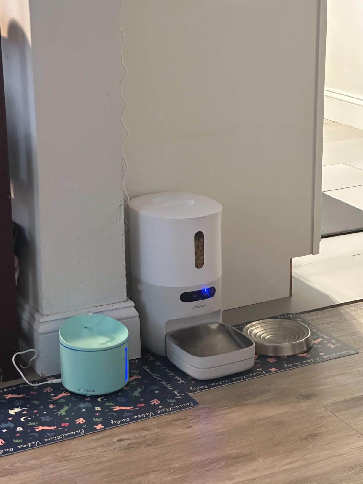 Pawsync Automatic Cat Feeder, WiFi & Smart Scale, Remote Feeding | Tracks Pet's Food Intake, 3.6L Timed Food Dispenser, Up to 10 Meals Per Day, Dual Power Supply, Stainless Steel Bowl customer photo 1