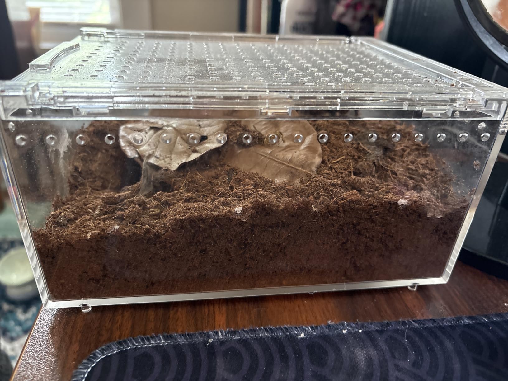 Reptile PC Tank,Escape Proof Magnetic Lid Tarantula Enclosure Large customer photo 1