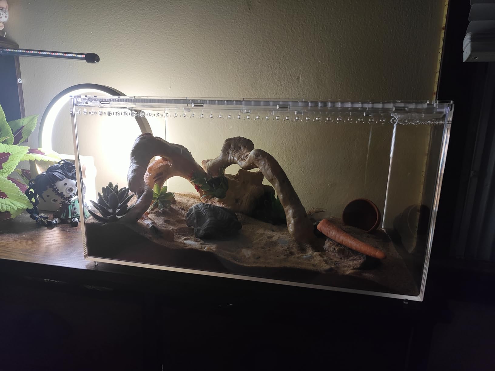Reptile PC Tank,Escape Proof Magnetic Lid Tarantula Enclosure Large customer photo 2