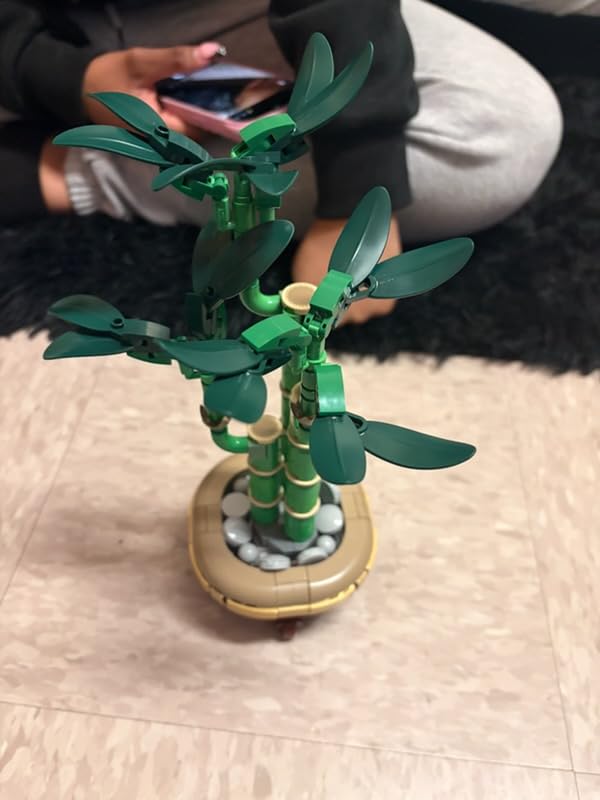 LEGO Botanicals Lucky Bamboo Building Set - Artificial Plant for Indoor Home Décor, Adults Ages 18+ - Gift for Birthdays for Him - Fake Plant Decoration for Table, Desk, Office - 10344 customer photo 1