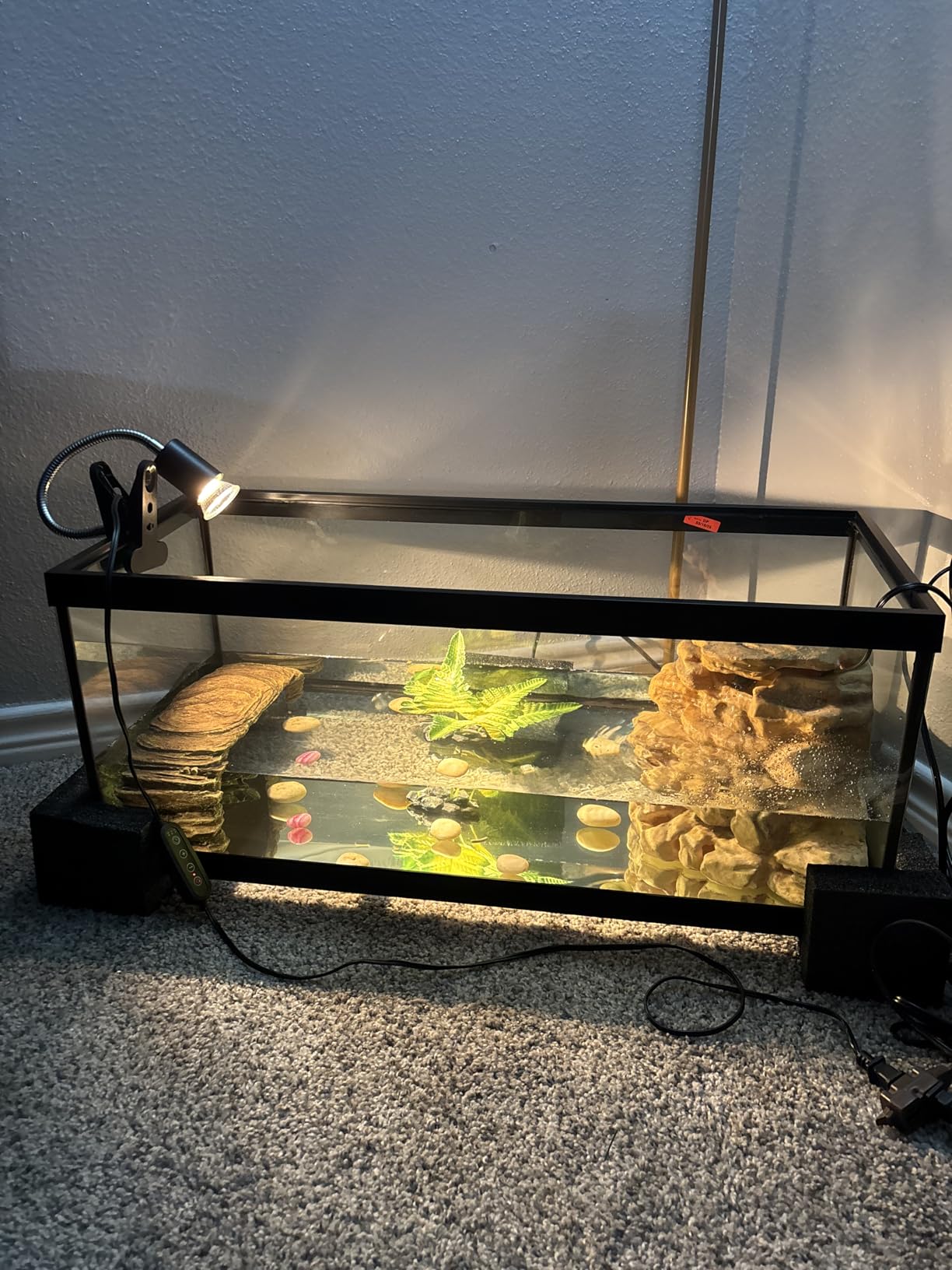 Tetra ReptoHabitat 15 Gallon Complete Kit for Reptiles, Turtles, Amphibians customer photo 2