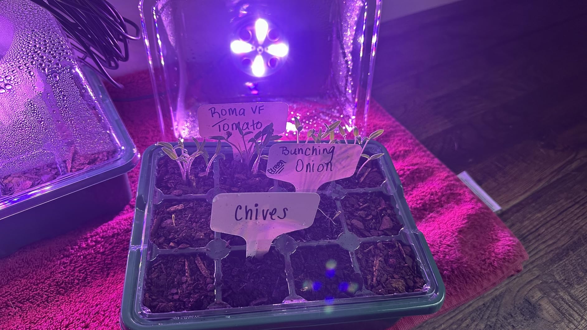 MIXC 6 Pack Seed Starter Kit with Grow Light, Vented Humidity Dome, Green customer photo 1