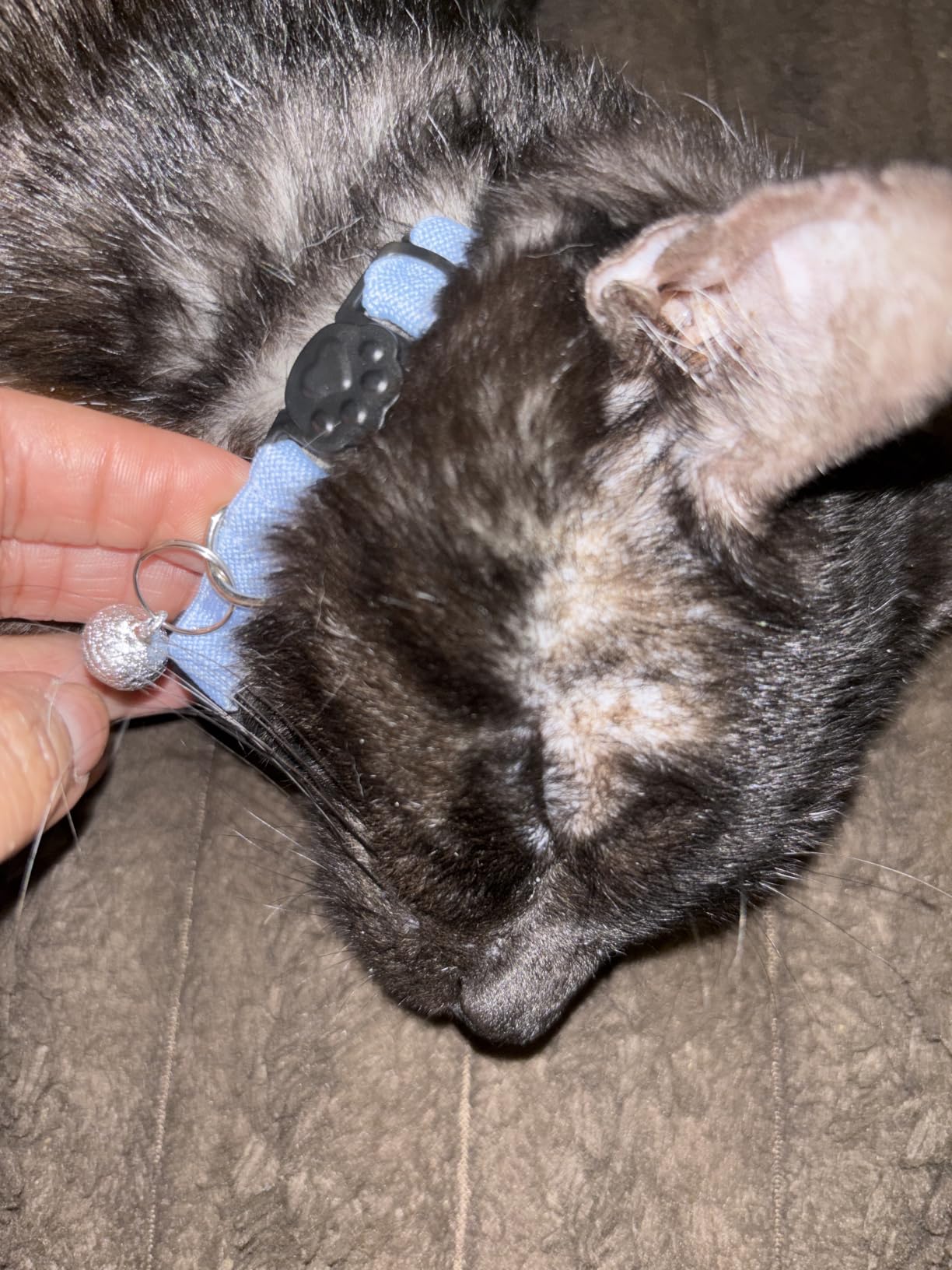 AirTag Cat Collars, Stretchy Collar with Air Tag Holder and Bell | Breakaway - Ultra Design Elastic - GPS Tracking Collars - Adjustable Size for Cats & Puppies 7.5-12.5