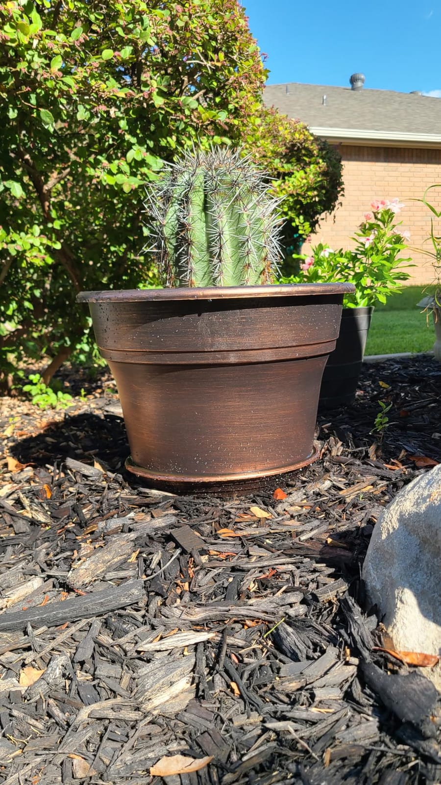 Fodetyff Planters-Plant-Pots-Indoor-Outdoor, 10 inch 4 Pack Copper customer photo 2