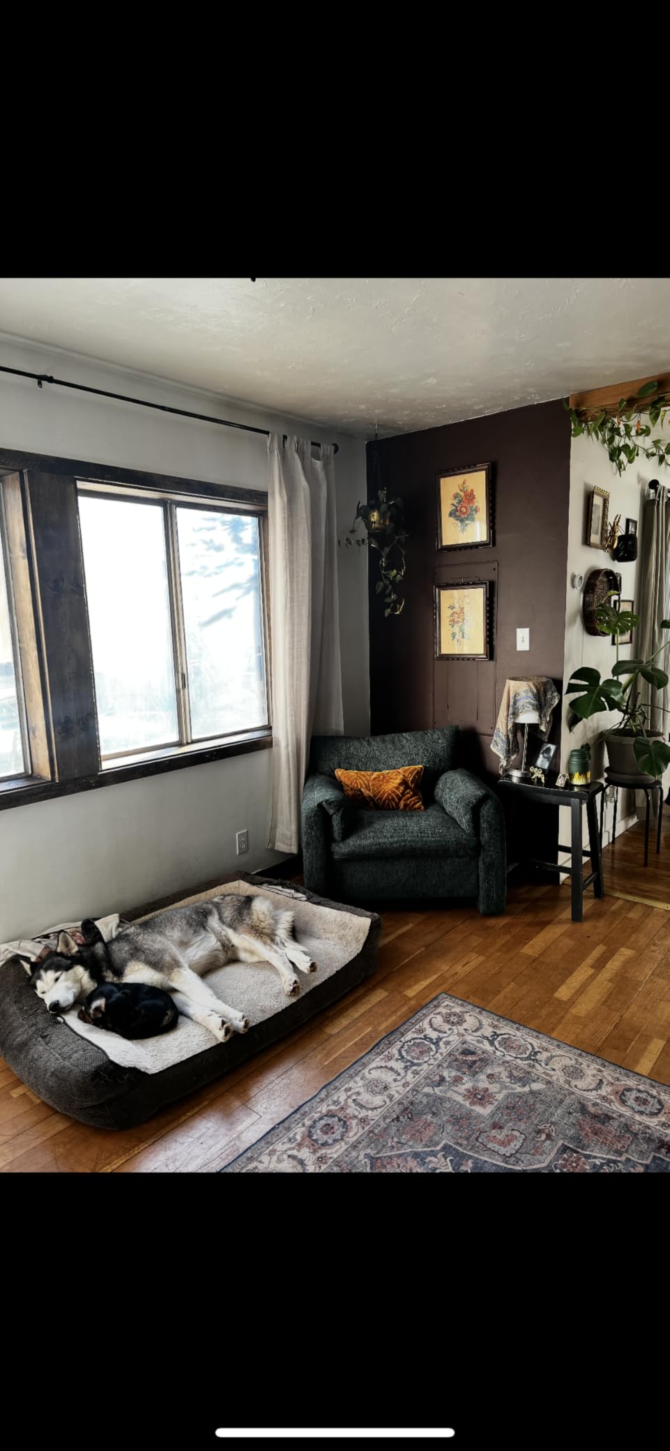 Howjoe Accent Chair for Living Room, Oversized Reading Armchair, Beige customer photo 2