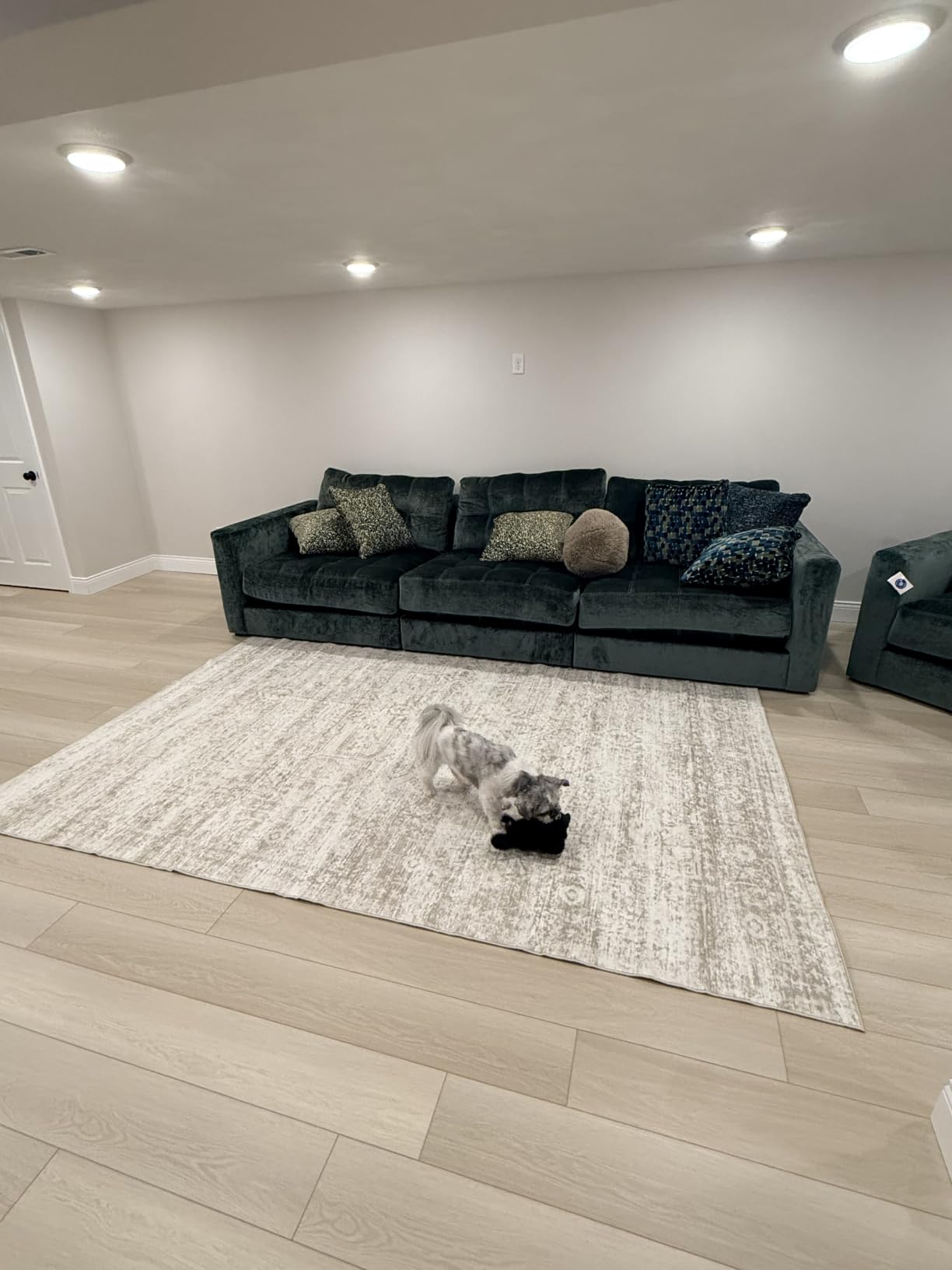 Washable Rugs 8x10 Area Rugs for Living Room, Bedroom, Dining Room Carpet | Ultra Soft Faux Wool, Kids & Pet Friendly, Machine Washable, Non-Slip & Non-Shedding, Large Vintage Low Pile Rug for Home Office customer photo 2