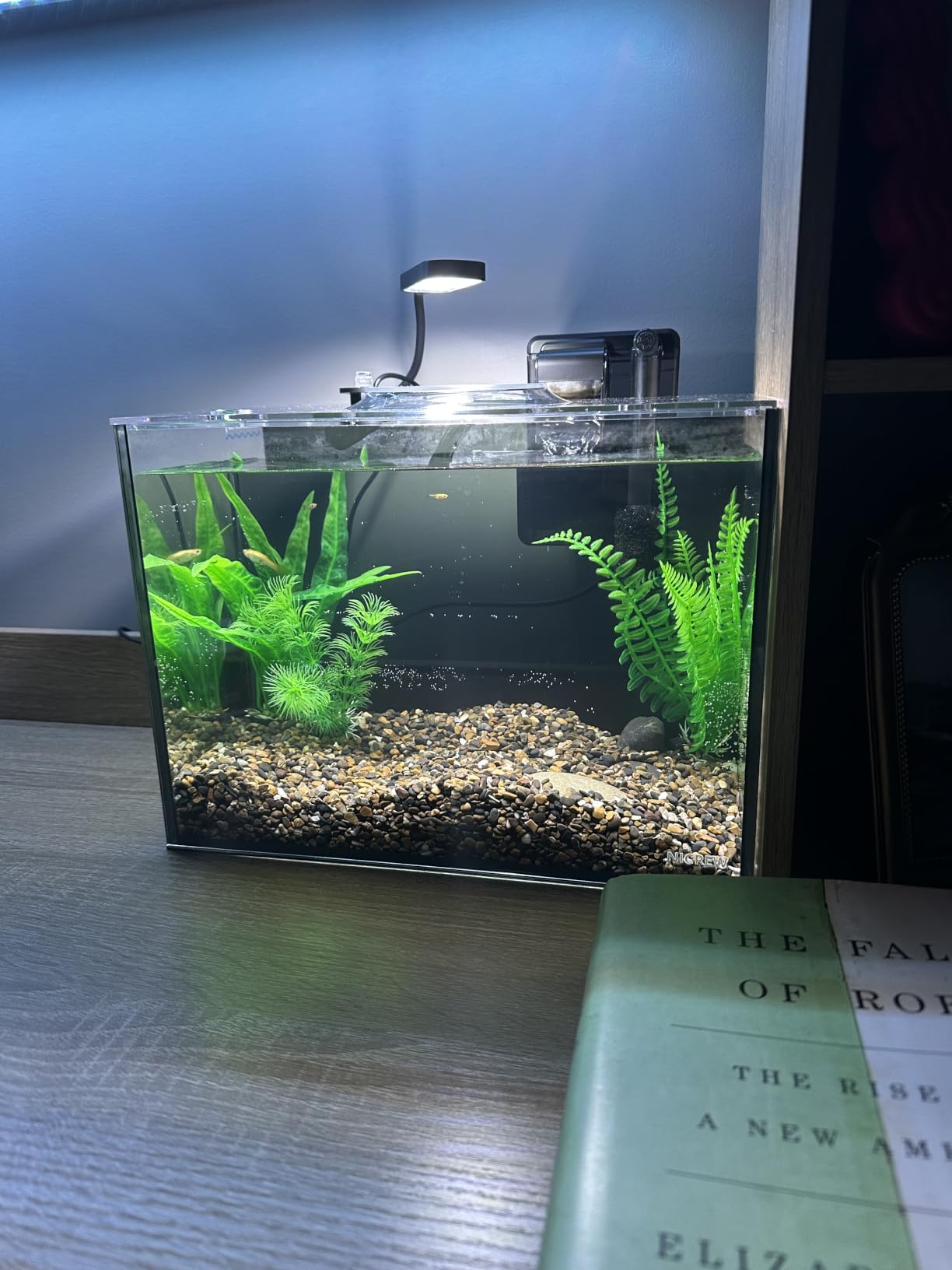 NICREW 2.5 Gallon Nano Nature Aquarium Kit, Ultra-Clear Rimless Desktop Fish Tank with Light, Filter, Gravel and Rock, Perfect for Small Fish, Shrimp, or Betta, Complete Version, Black customer photo 2