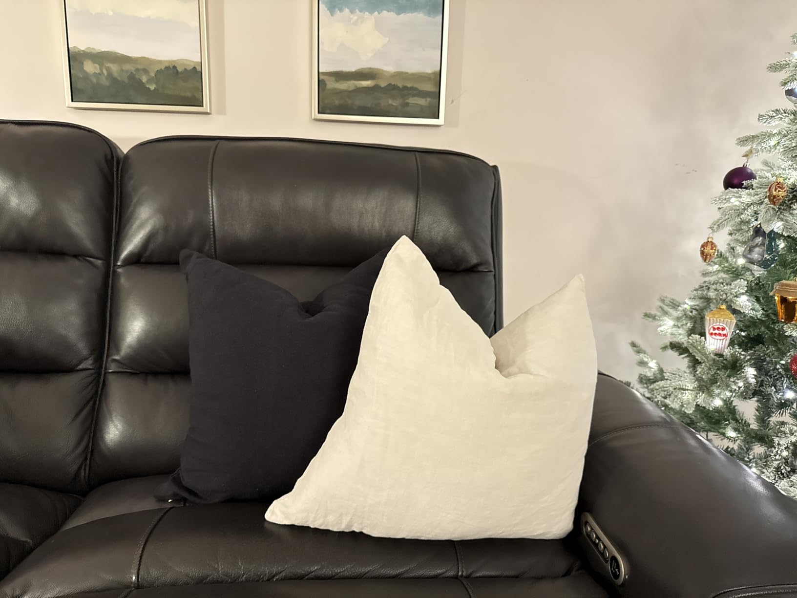 basic home Hotel-Style Queen Size 20x28 Goose Feather & Down Bed Pillow - 100% Odorless Sleep Pillow for Neck Support & Cooling Comfort - 233TC Cotton Cover with Anti-Poke Liner customer photo 1