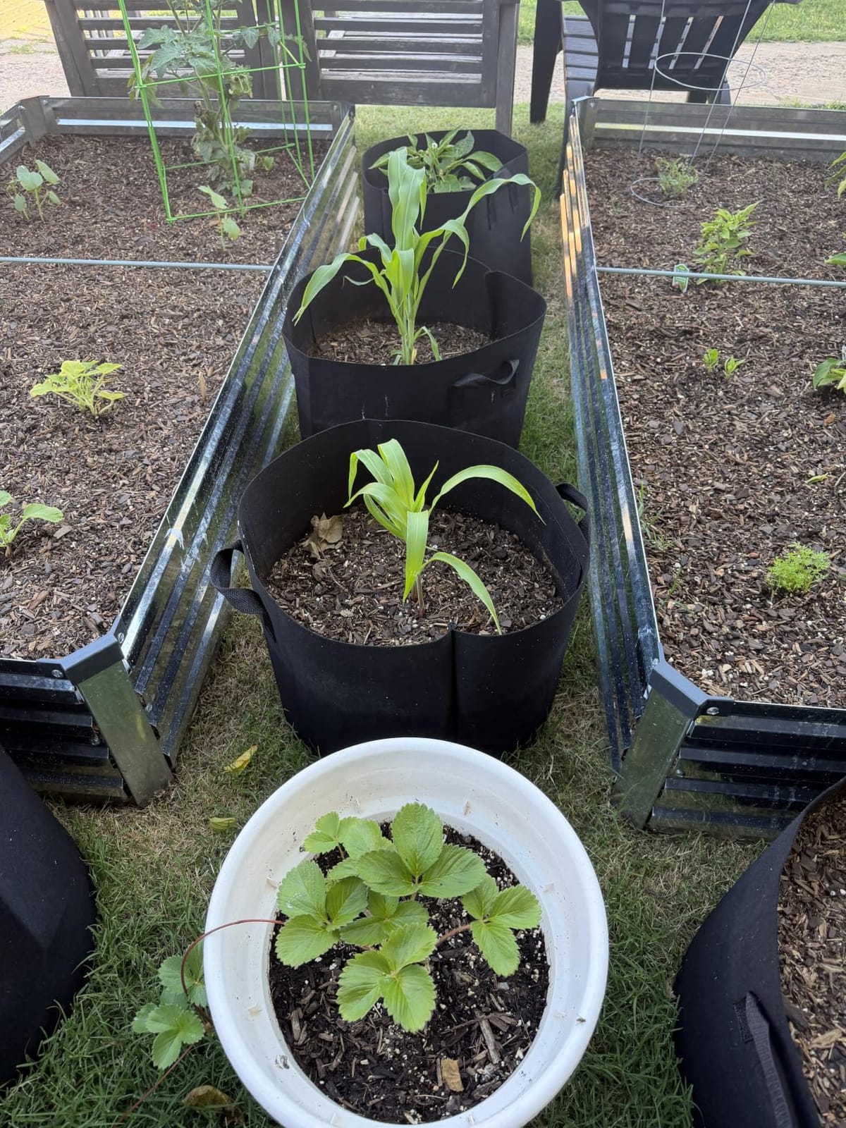Jorvila 5-Pack 5 Gallon Grow Bags customer photo 1
