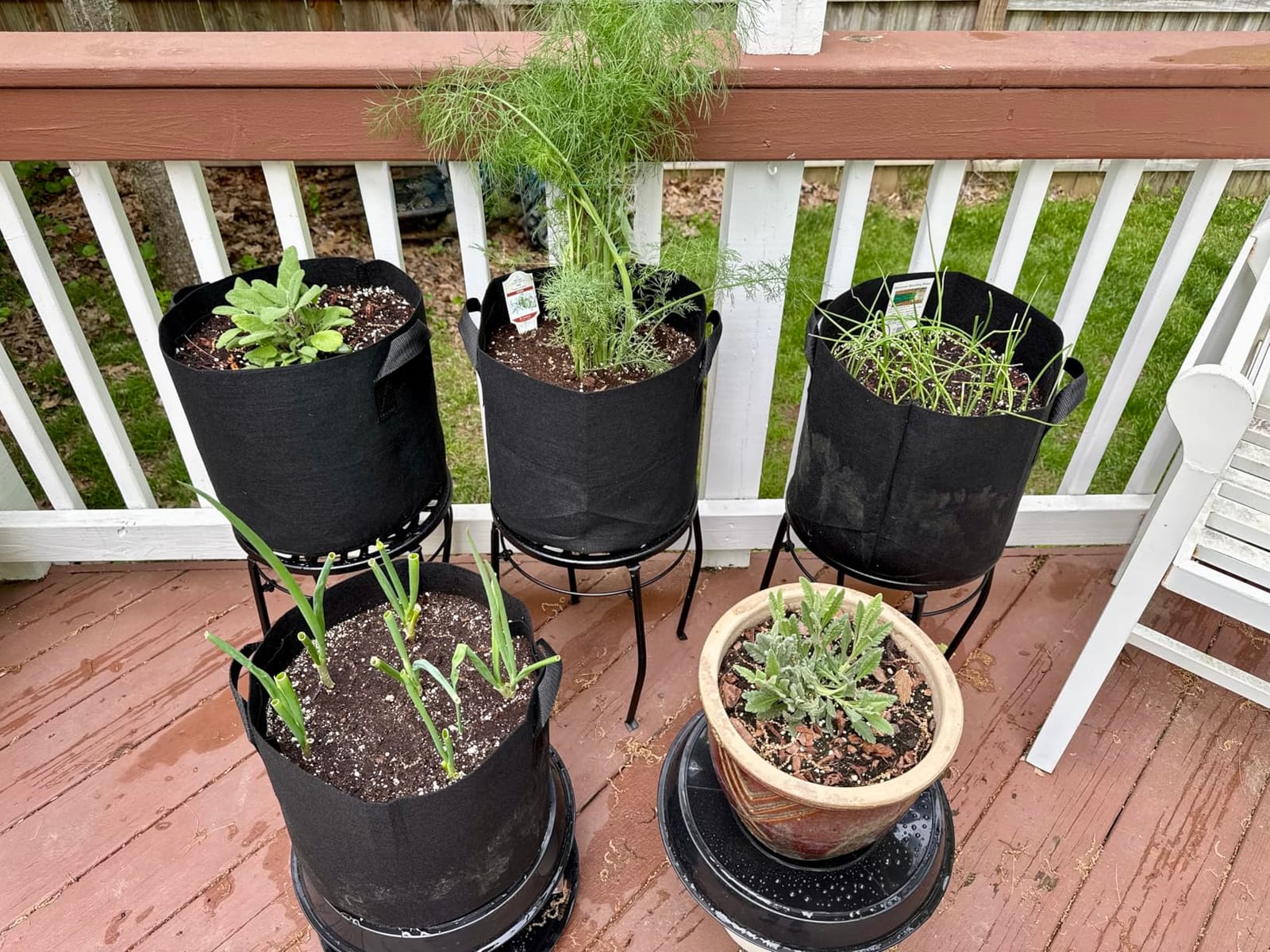 Jorvila 5-Pack 5 Gallon Grow Bags customer photo 2
