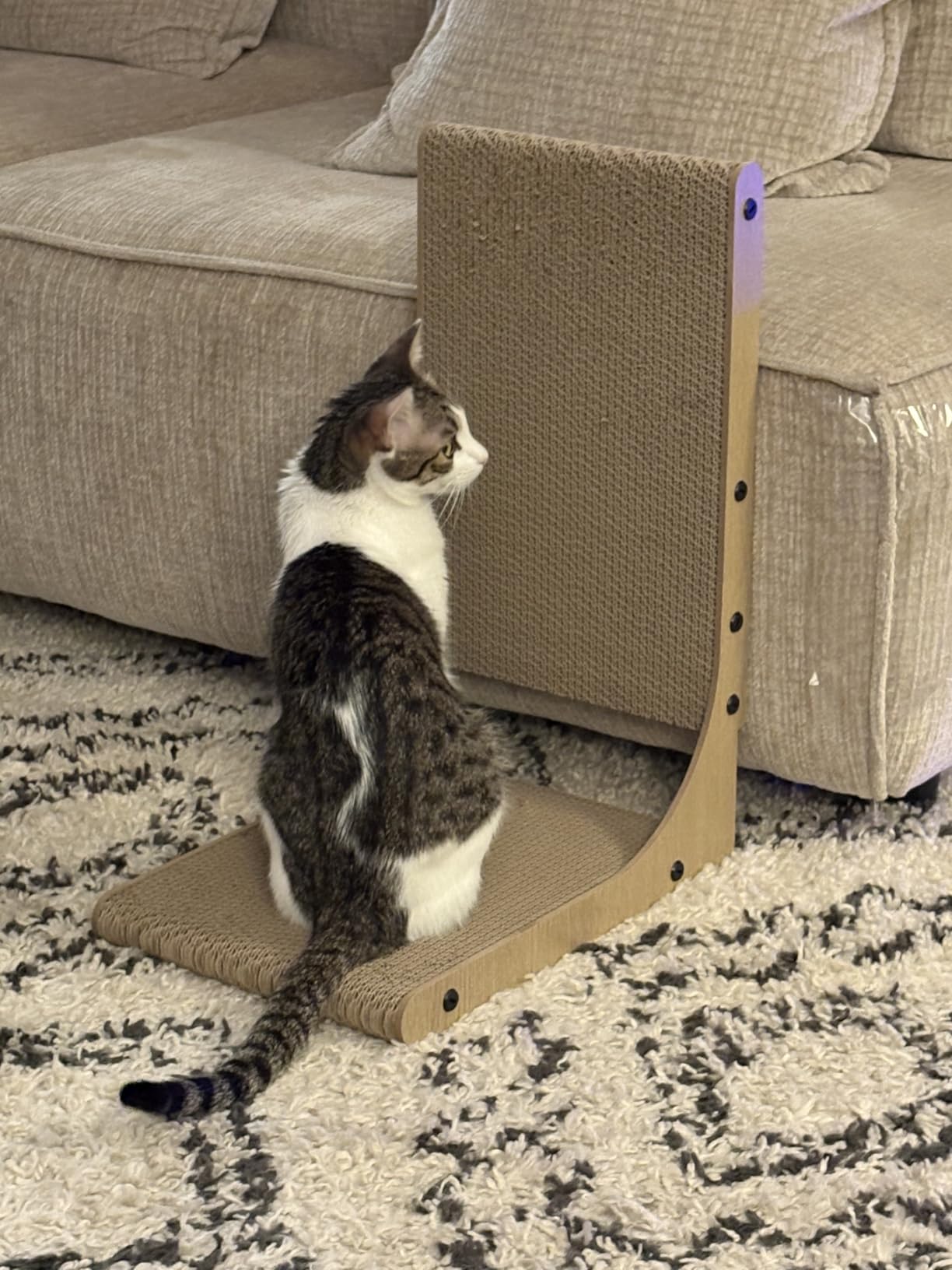 Zakkart 2-Pack L-Shaped Cat Scratching Board, Cardboard, 25.6