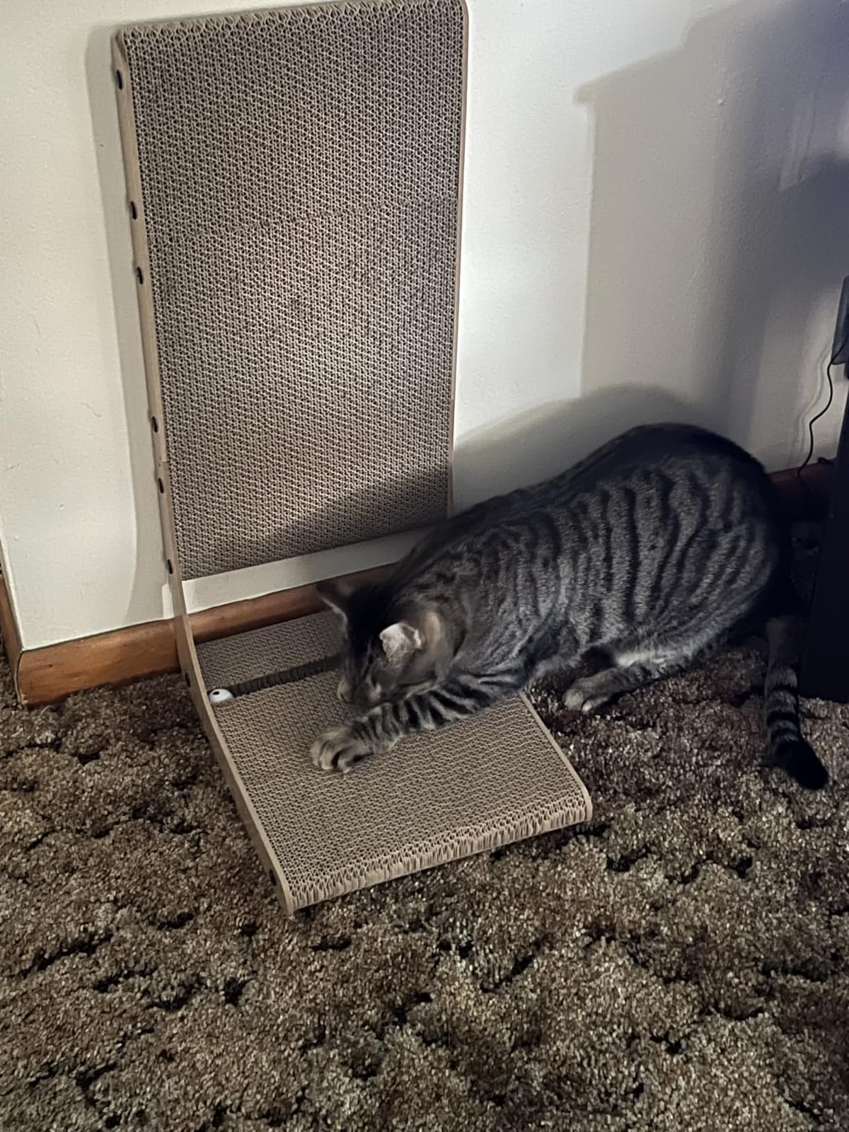 Zakkart 2-Pack L-Shaped Cat Scratching Board, Cardboard, 25.6