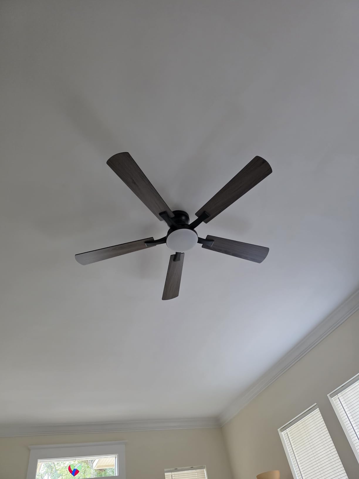 ZMISHIBO 52 Inch Ceiling Fans with Lights, Remote & App Control, Flush Mount, Low Profile, Dimmable 20W LED Light, Quiet Reversible Motor, Strong Airflow, Easy Install for Bedroom/Living Room/Apt, Black customer photo 1
