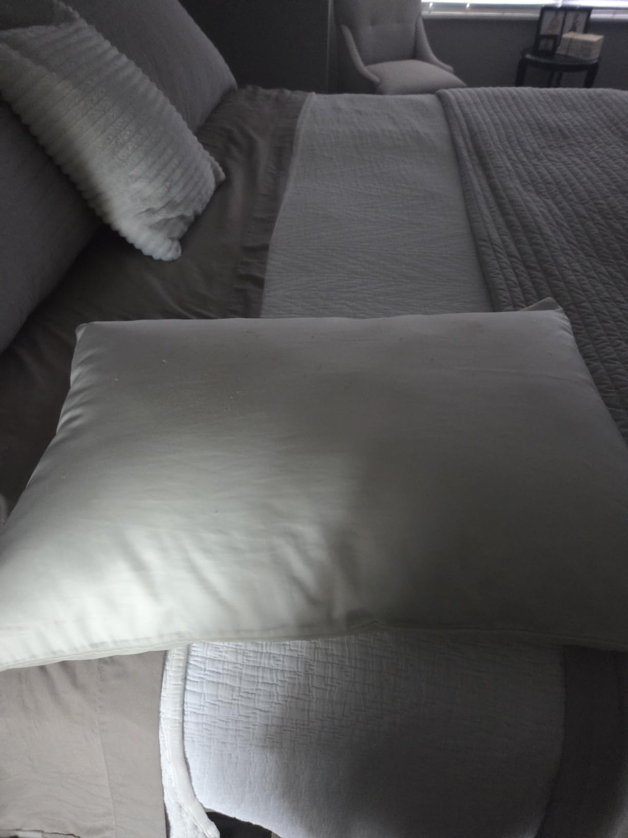 Pacific Coast Goose Feather and Down Bed Pillows Standard Size Set of 2, Hotel Pillow for Sleeping, Downproof, Medium-Firm, Fluffy, 100% Cotton Shell customer photo 1