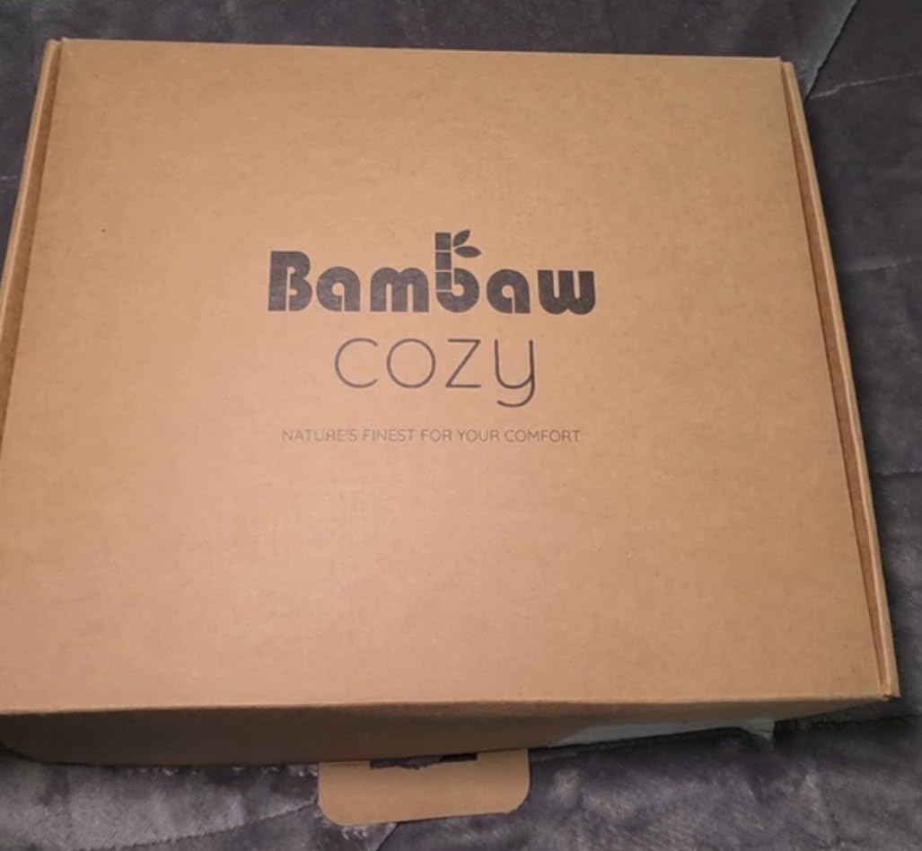 Bambaw Queen Sheet Set – 4pcs 100% Viscose Derived from Bamboo Cooling Sheets Set Queen Size, Cooling Sheet for Night Sweats, Ultra Soft & Breathable, 16'' Deep Pockets (Moonlight Gray) customer photo 2