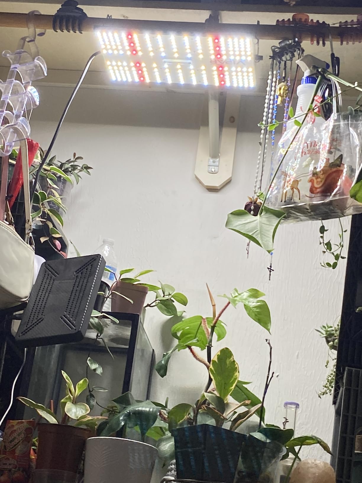 70 Watt Grow Light, Dimmable Plant Light, LED Grow Lights for Indoor Plants | VIPARSPECTRA P700 Full Spectrum Growing Lamp Seed Starting Seedlings Vegetable, 11000 Lumens Small Hanging for 2x2 Grow Tent customer photo 1