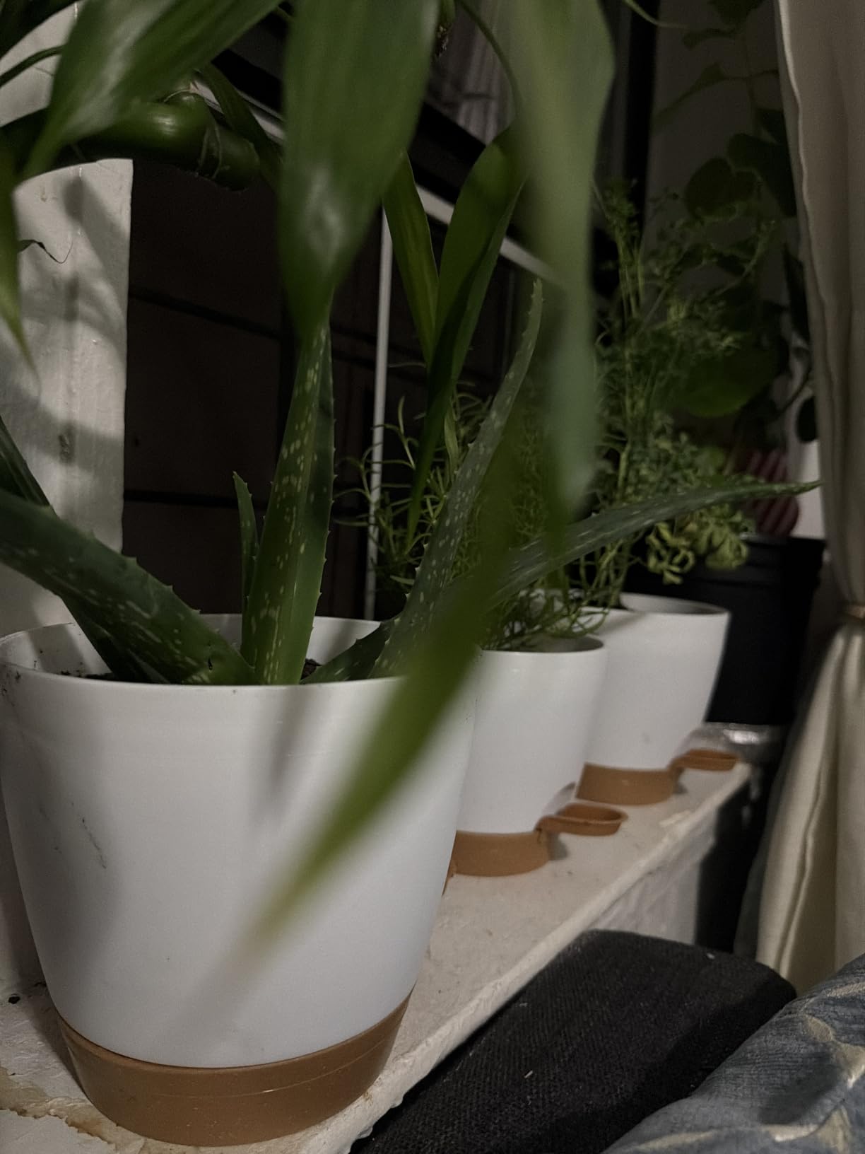 Utopia Home Self Watering Pots for Indoor Plants 6.8