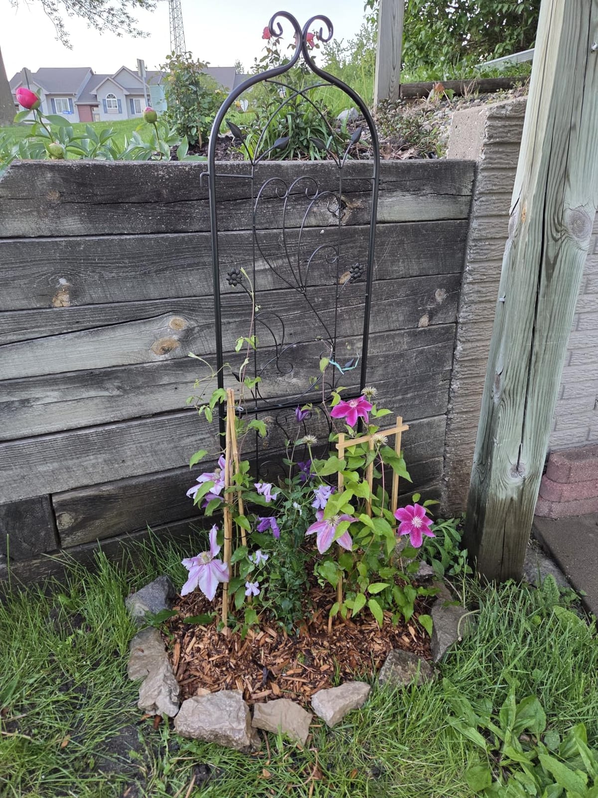 VEVOR Garden Trellis for Climbing Plants, 87 x 20 in, 4 Packs Rustproof Metal Garden Flower Trellis, Outdoor Climbing Rose Cucumbers Support, Decorative Clematis Trellis for Courtyards Lawns customer photo 2