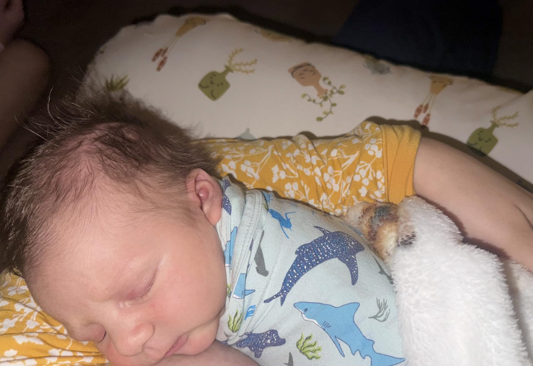 Boppy Nursing Pillow, Luxe Ergonomic Breastfeeding & Baby Feeding Support customer photo 1