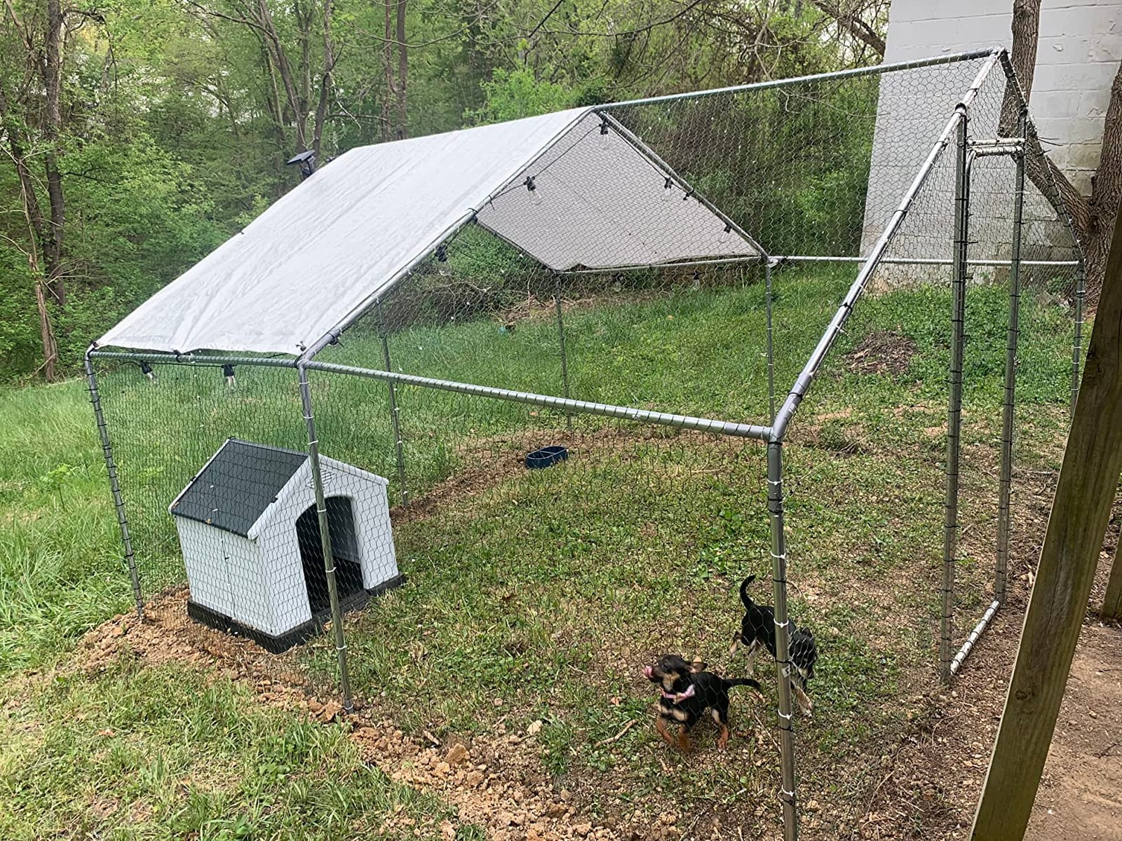 10x6.5 Metal Chicken Coop Walk-in for 8-12 Chickens, Galvanized Waterproof customer photo 1