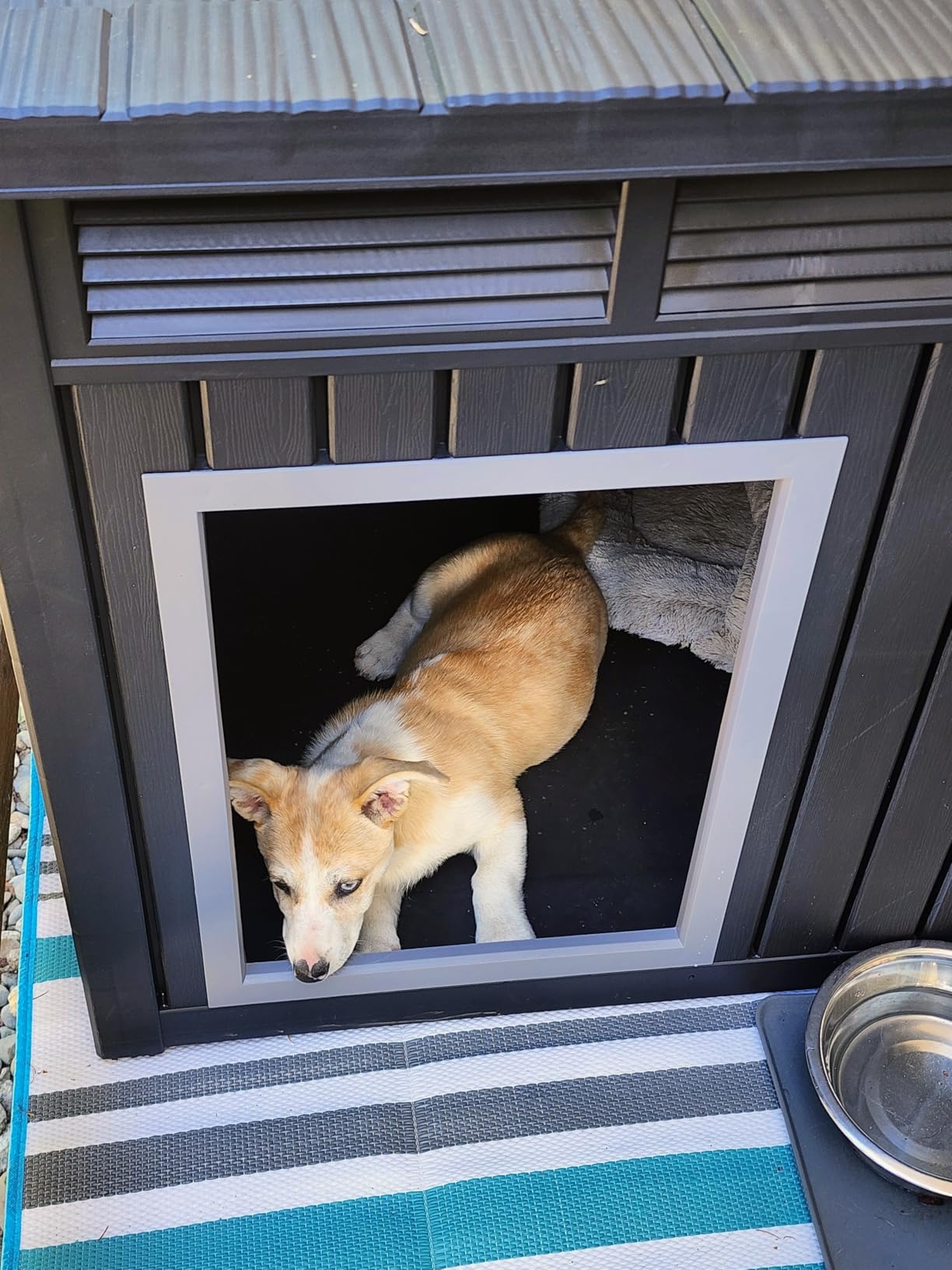 DRATO Large Dog House Outdoor for Indoor, Gray, 42.87 * 32.95 * 31.61 in | Weatherproof, Removable Roof, Fits Small to Large customer photo 2