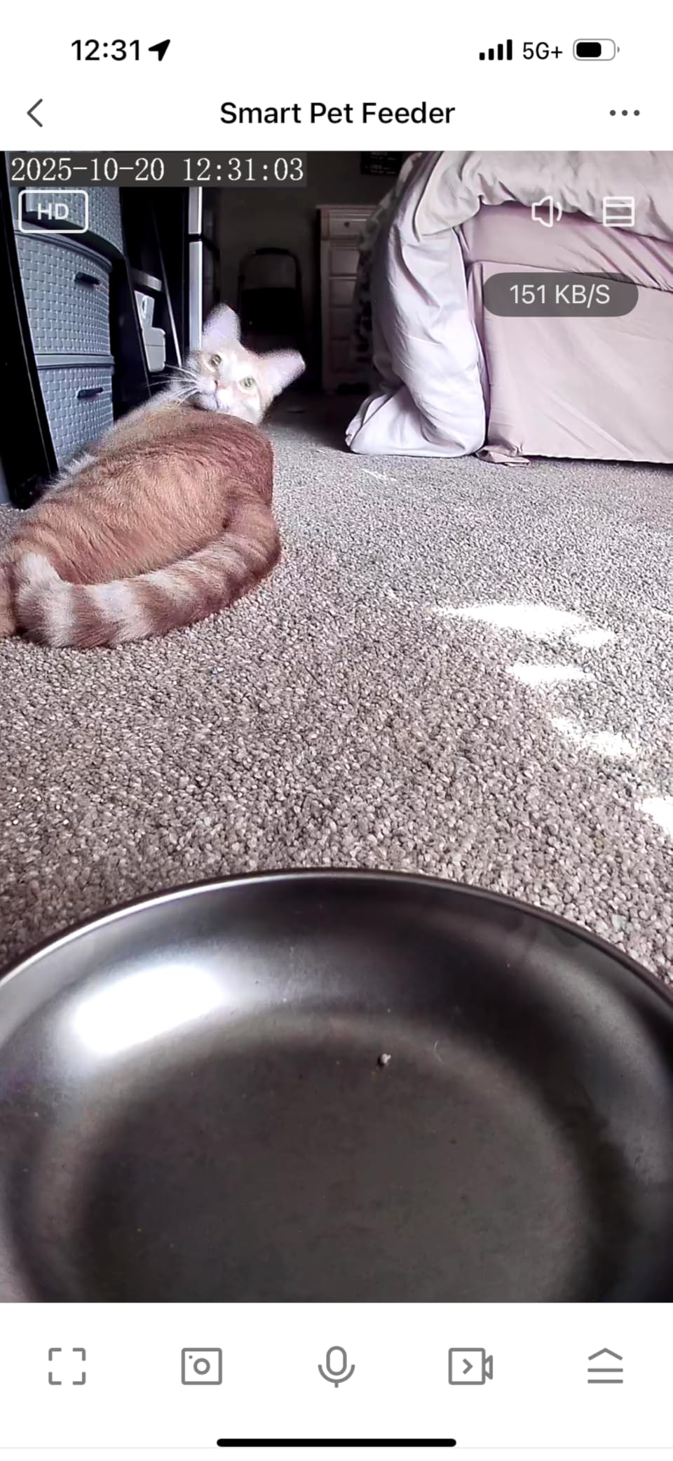 Automatic Cat Feeder with Camera - 5G WiFi Timed Cat Food Dispenser, 1080P HD Video with Night Vision, 1-15 Meals, 1-99 Portions, 2-Way Audio, Keeps Dry Food Fresh, 5L Auto Pet Feeder Also for Dogs customer photo 2